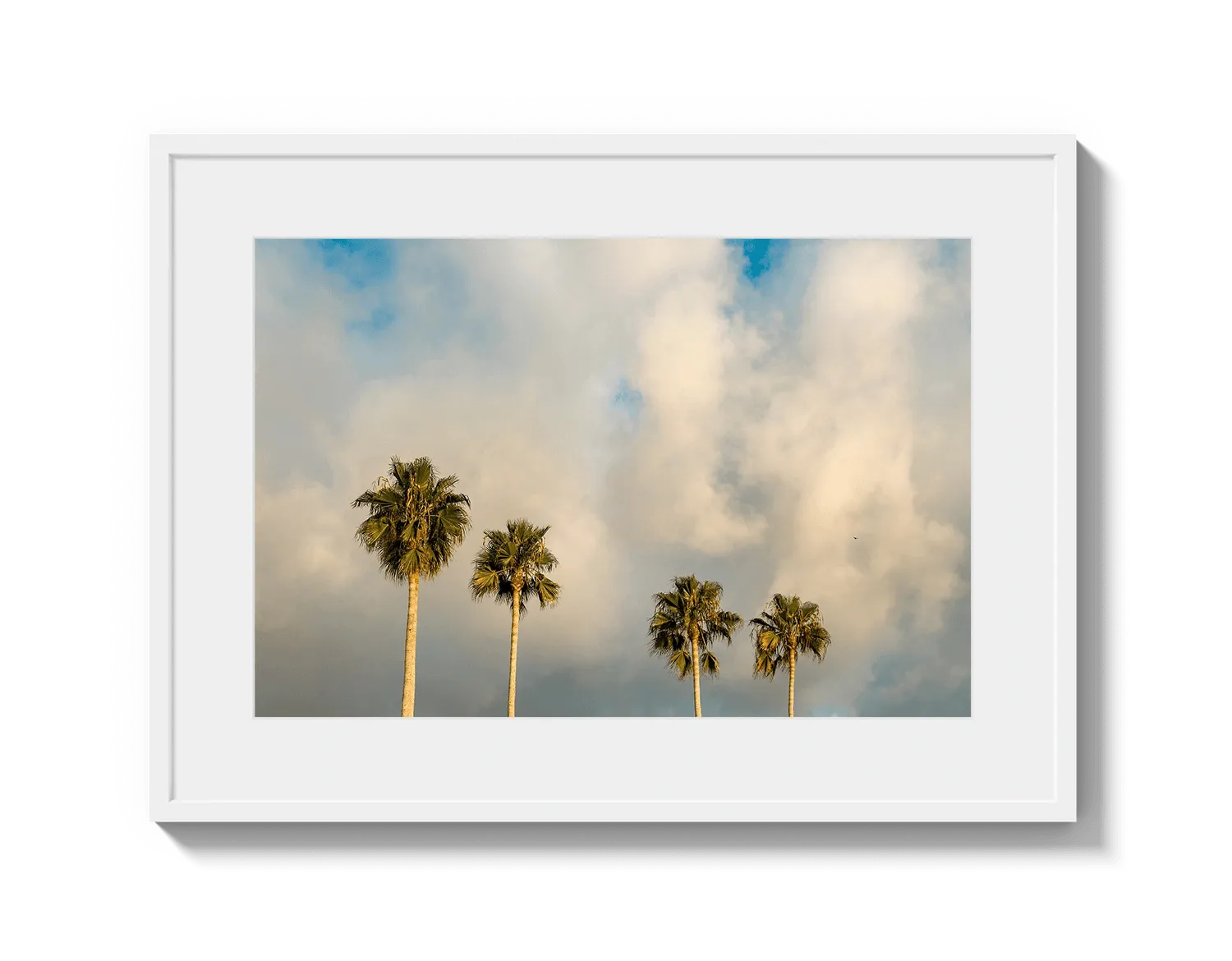 Palm Trees on Clouds - California DreamScapes Wall Art Decor