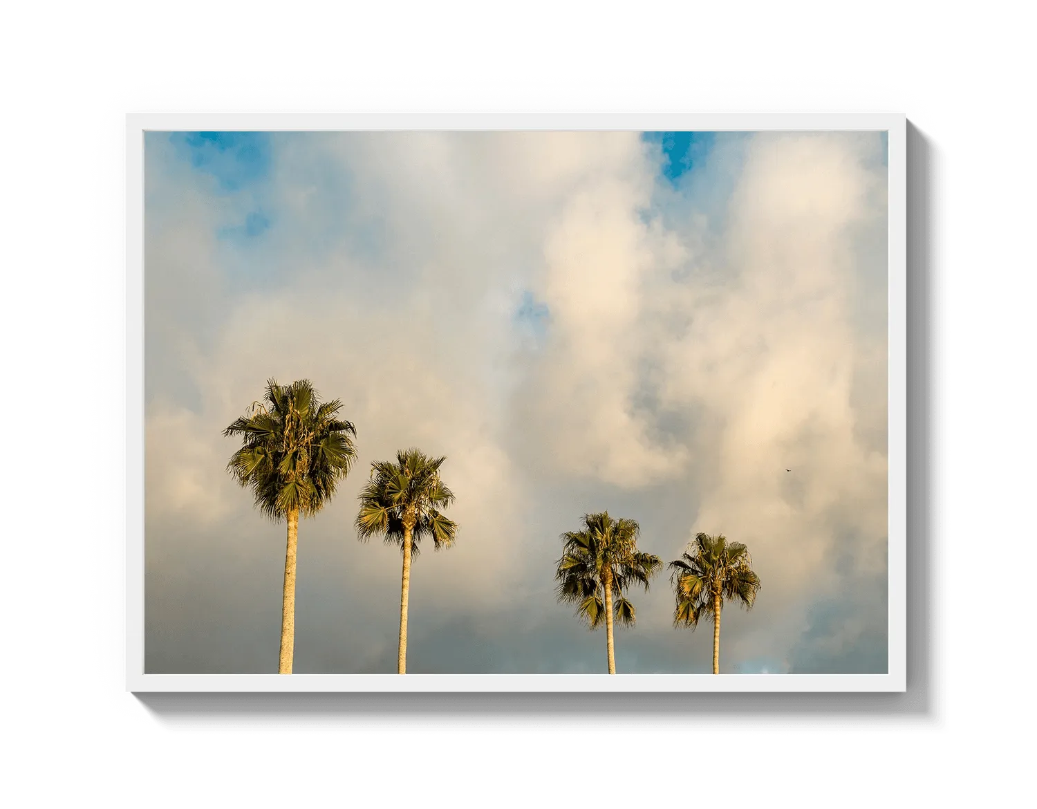 Palm Trees on Clouds - California DreamScapes Wall Art Decor