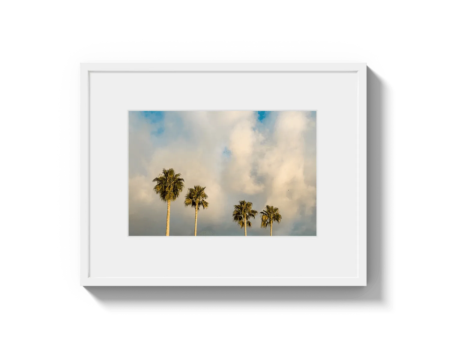 Palm Trees on Clouds - California DreamScapes Wall Art Decor