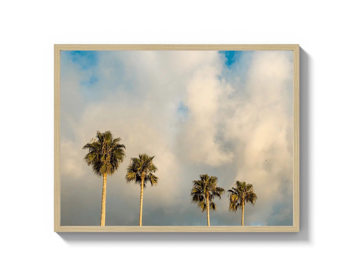 Palm Trees on Clouds - California DreamScapes Wall Art Decor