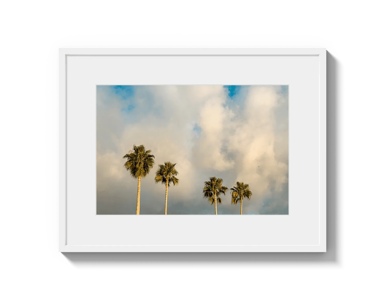 Palm Trees on Clouds - California DreamScapes Wall Art Decor