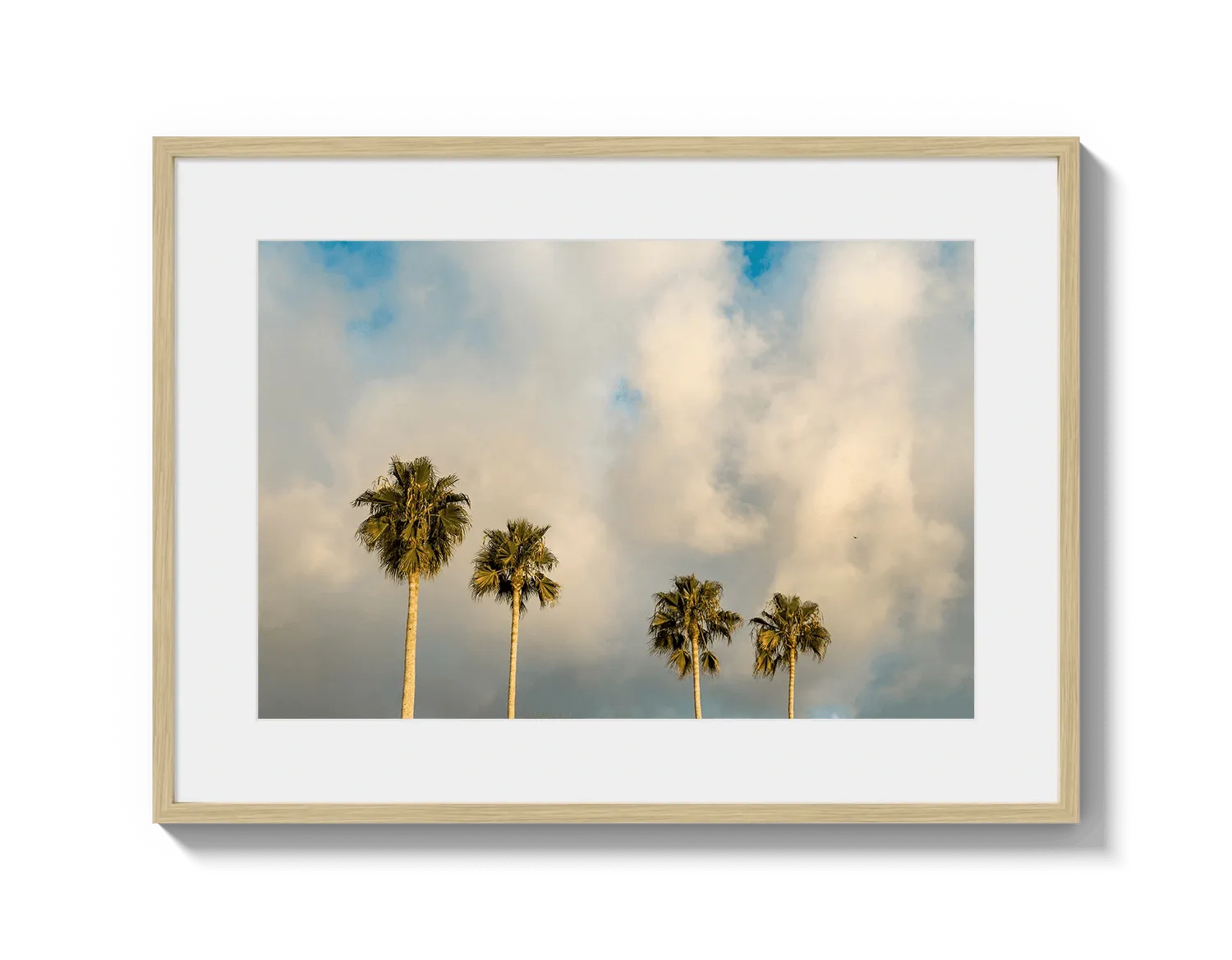 Palm Trees on Clouds - California DreamScapes Wall Art Decor
