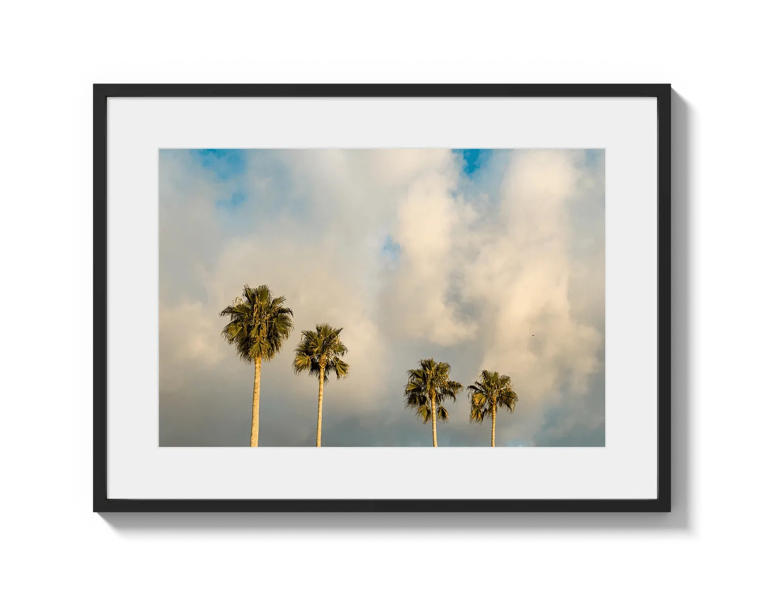 Palm Trees on Clouds - California DreamScapes Wall Art Decor