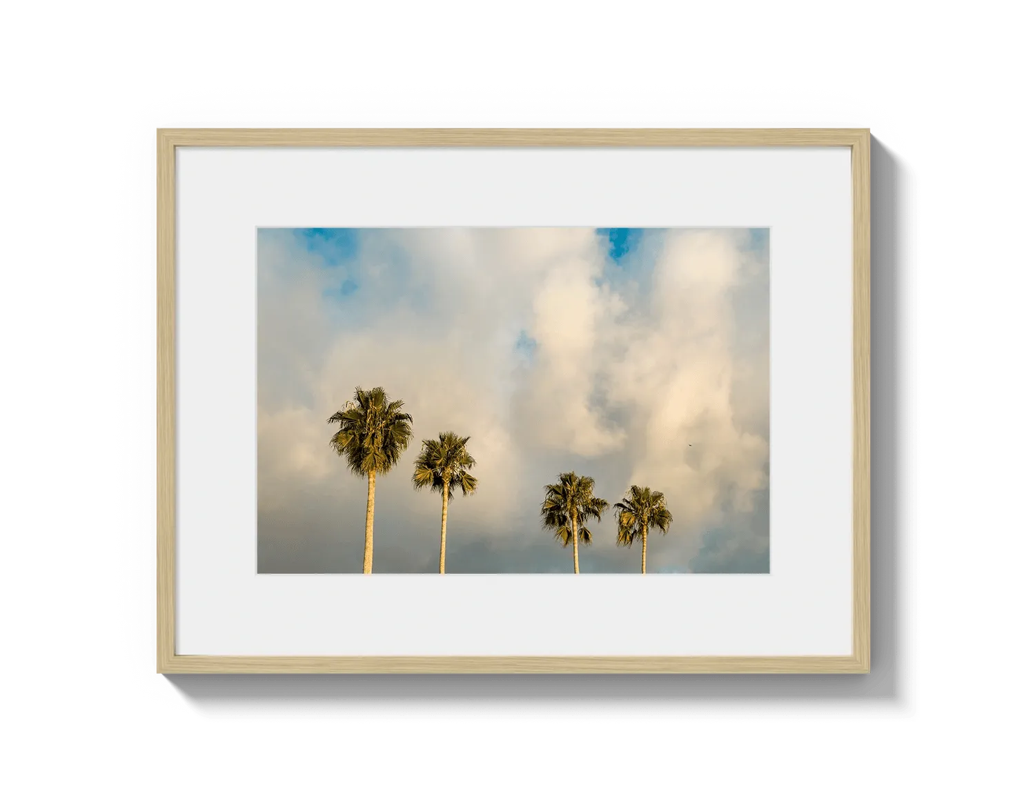 Palm Trees on Clouds - California DreamScapes Wall Art Decor