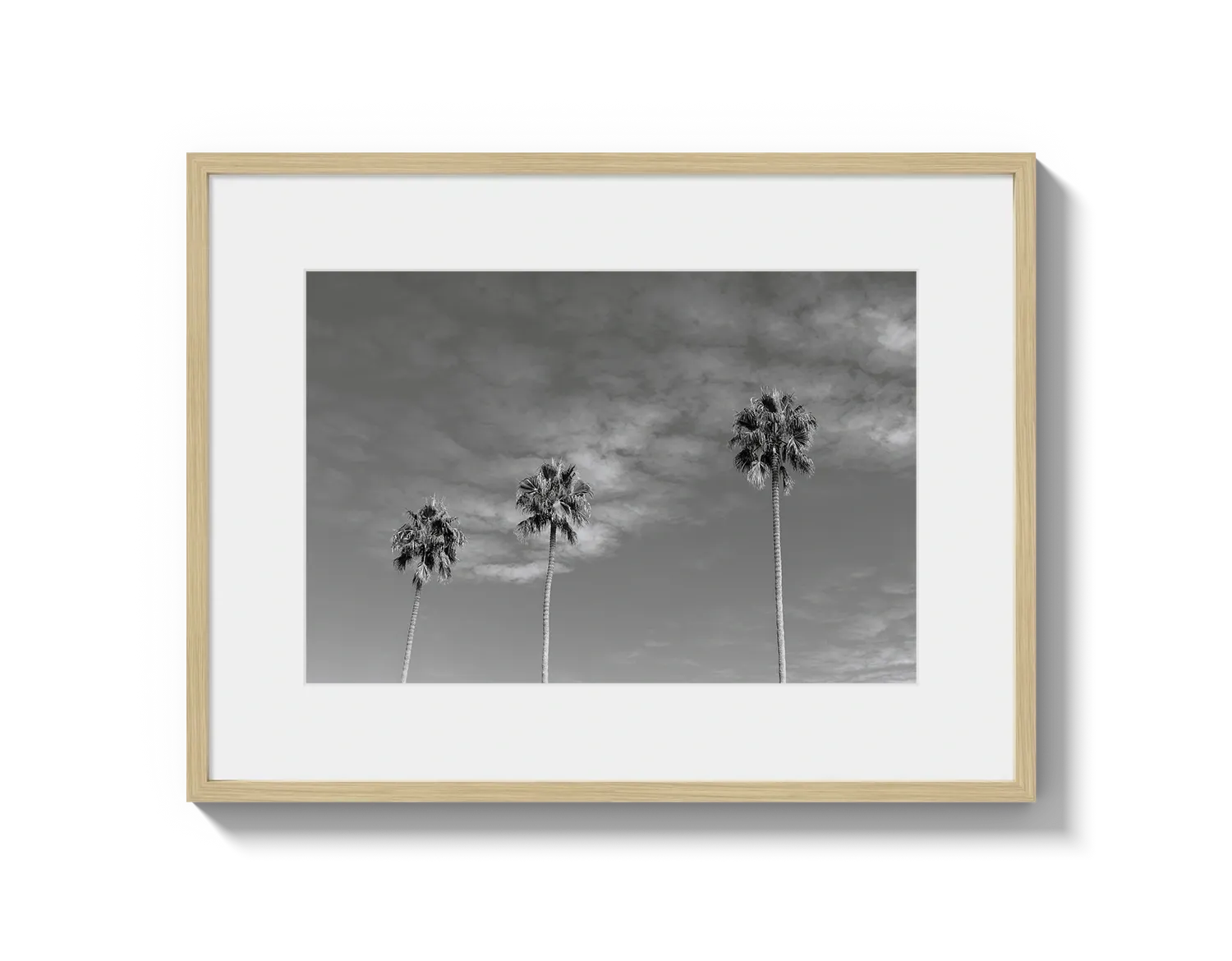 Three Palm Trees