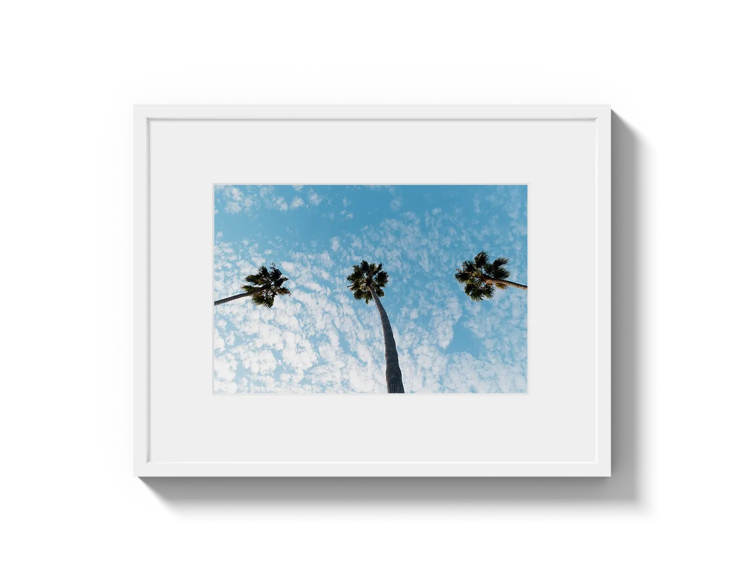 Three Palm Trees II