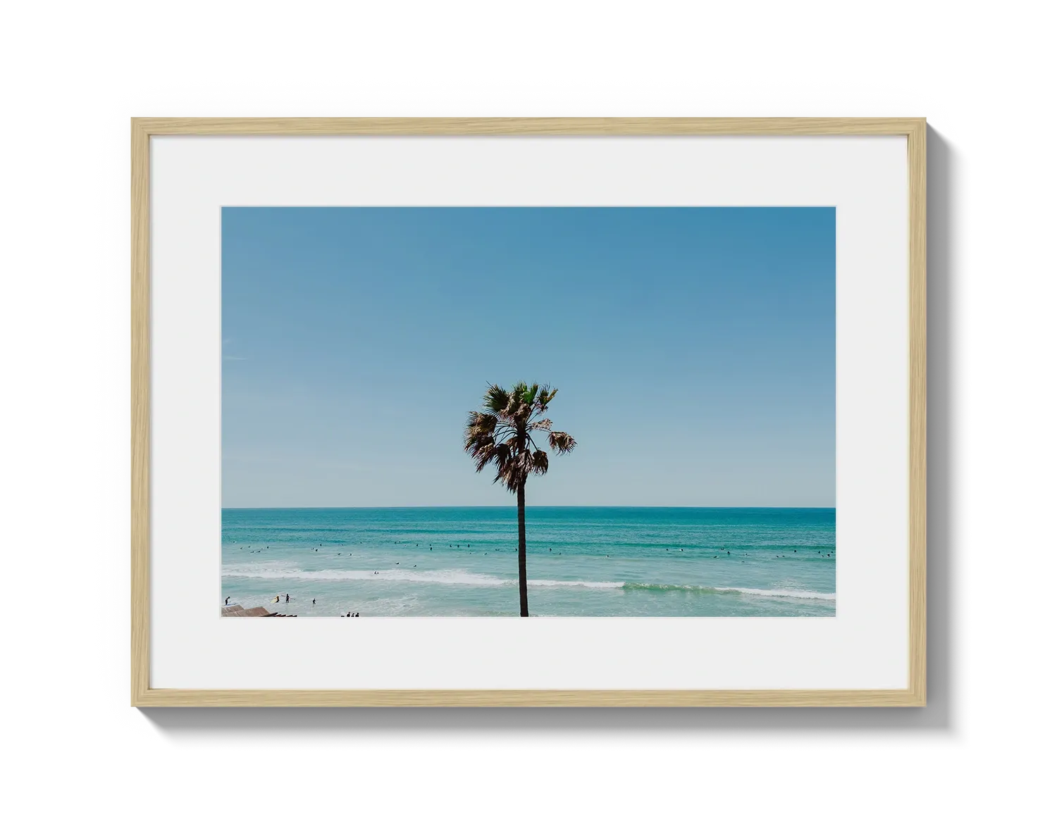 PB Palm Tree