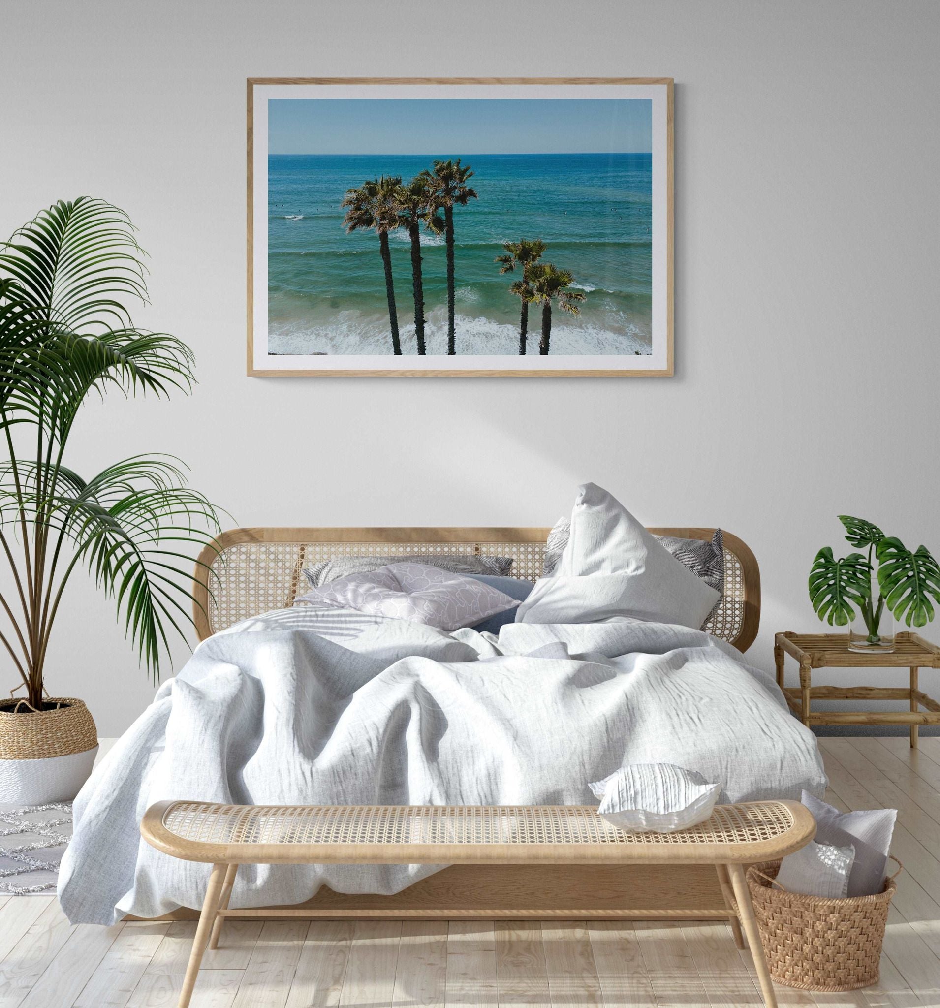 Palm Trees in PB