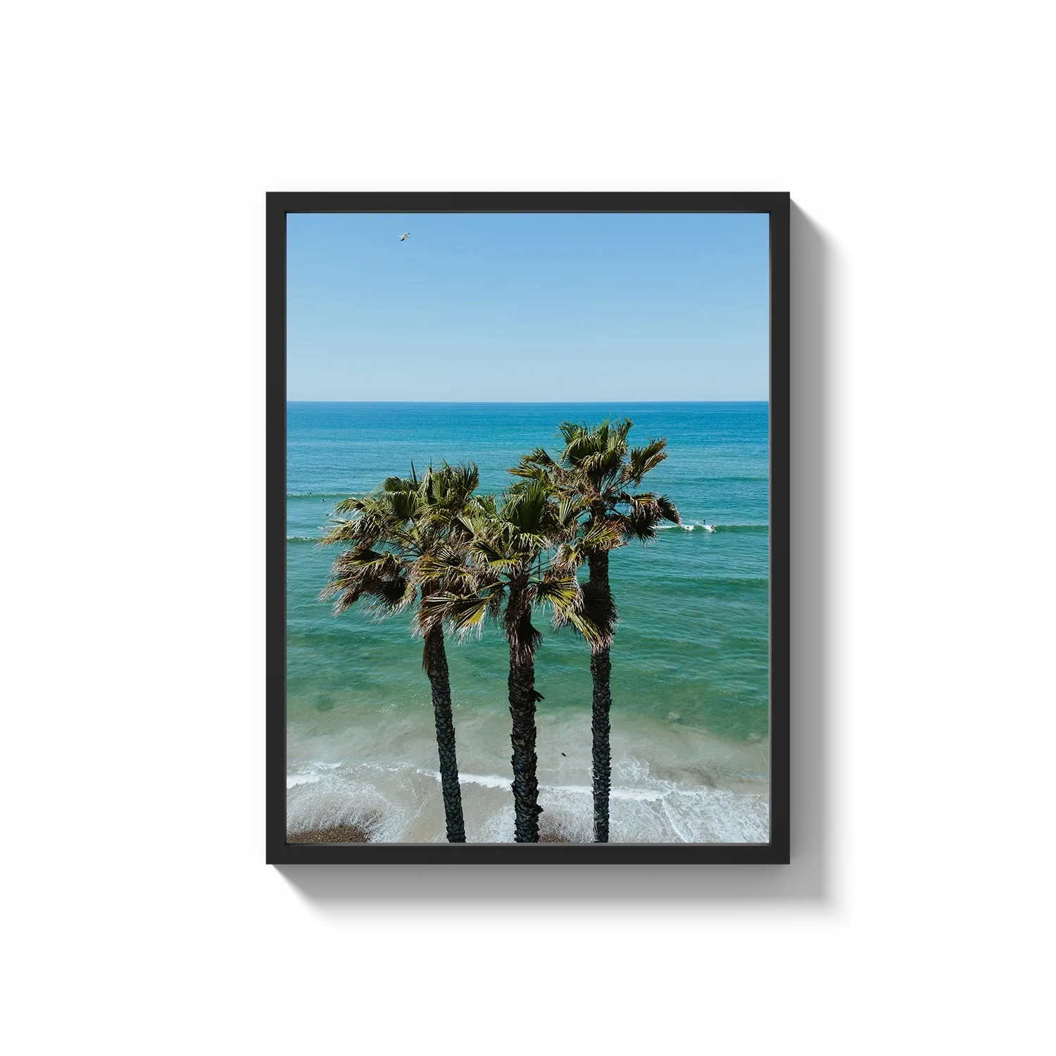 Three Palm Trees at the Beach
