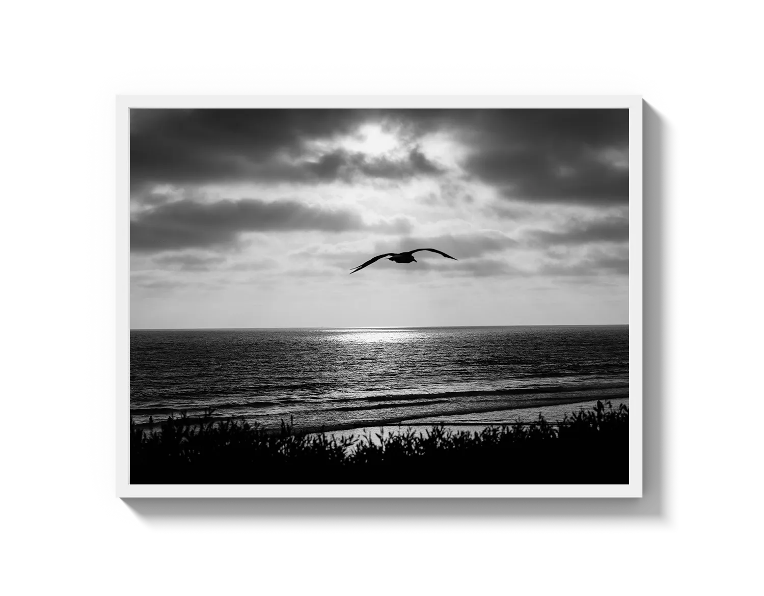 Bird Beach