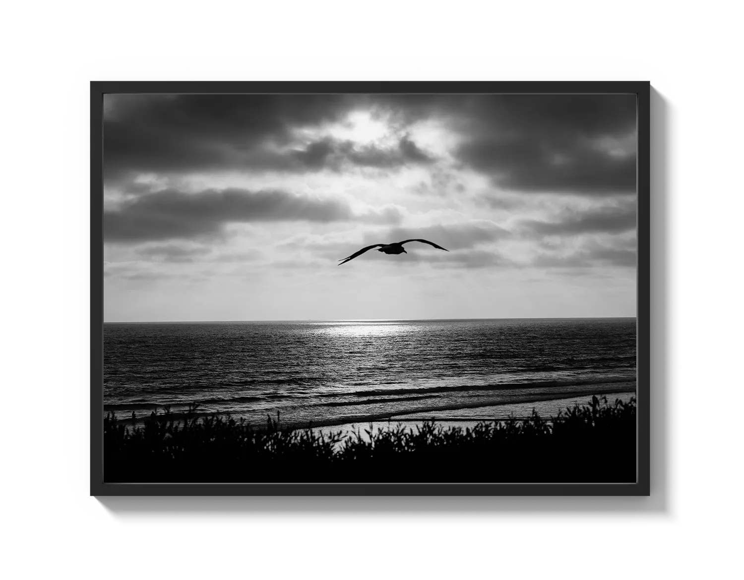 Bird Beach
