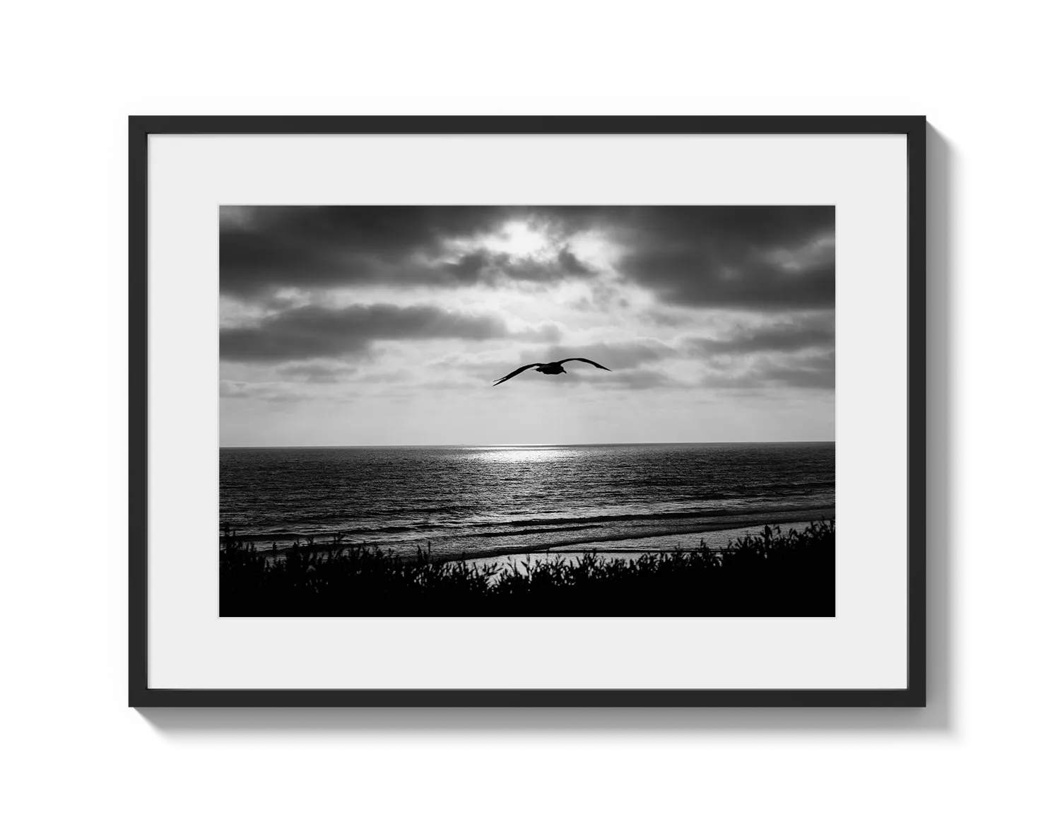 Bird Beach