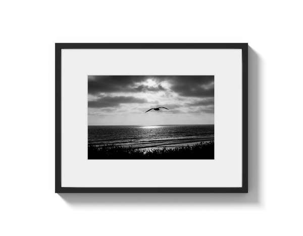 Bird Beach