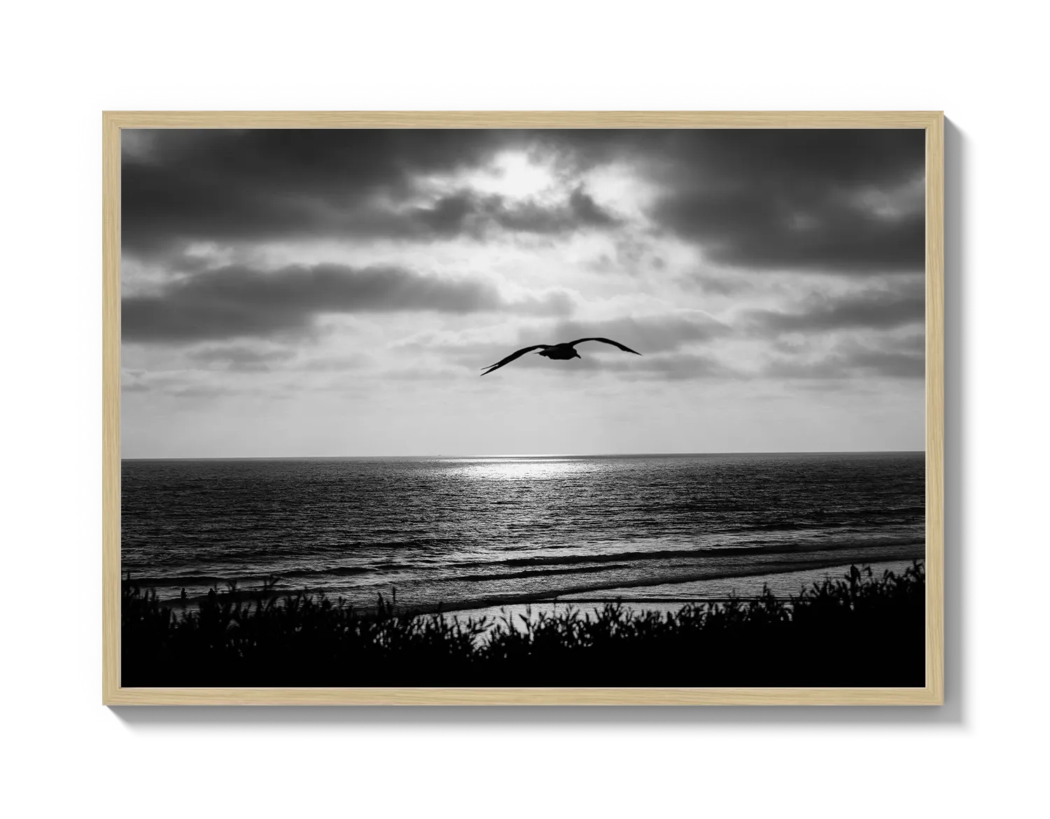 Bird Beach