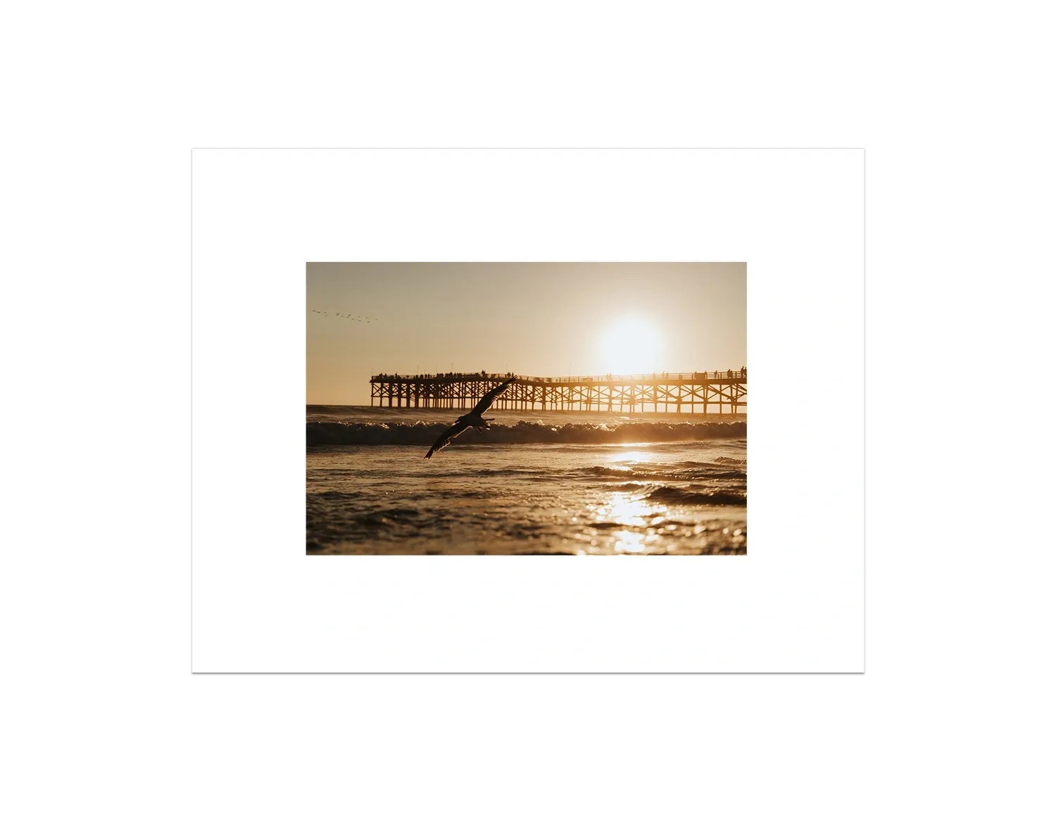 Beach Bird 2