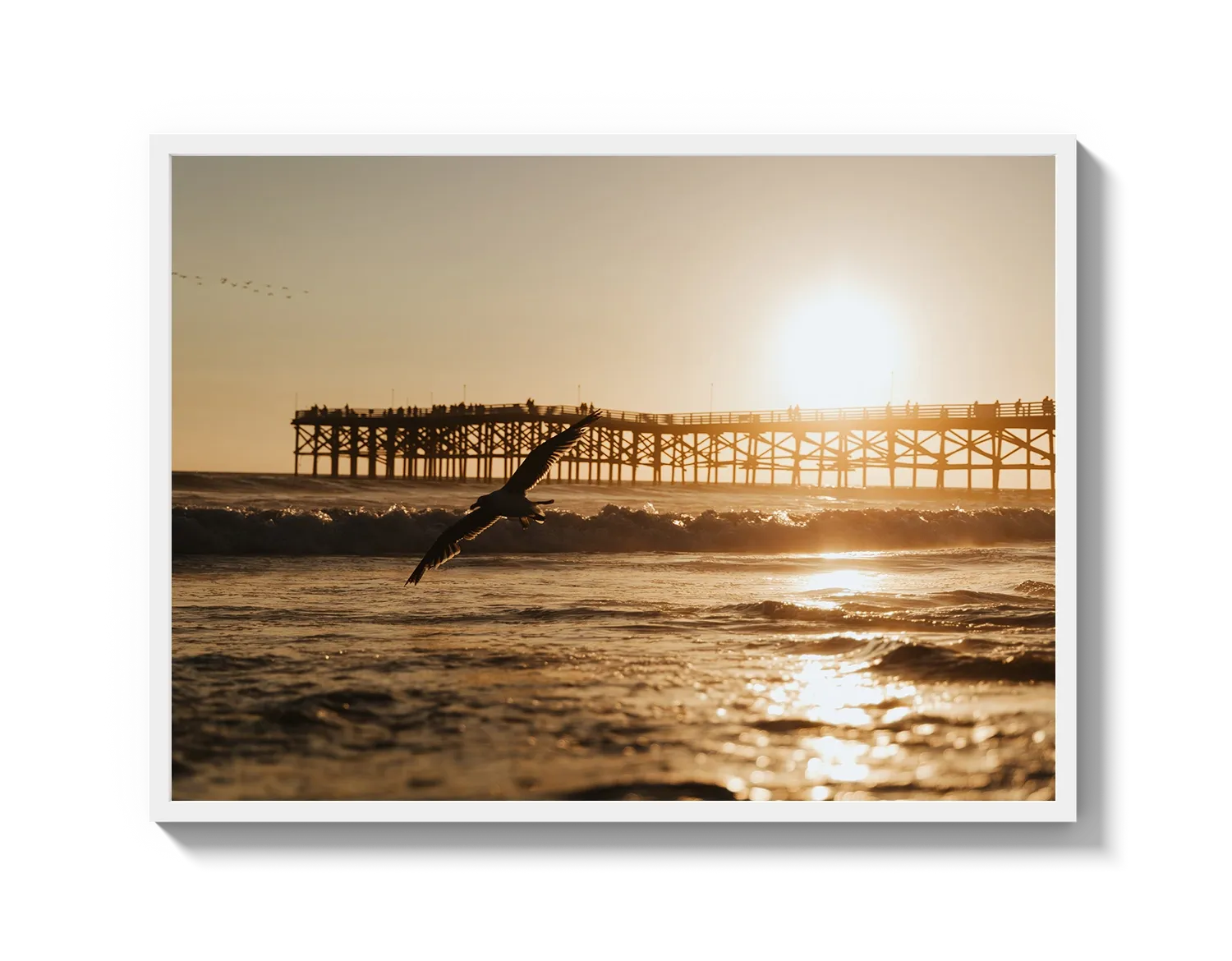 Beach Bird 2