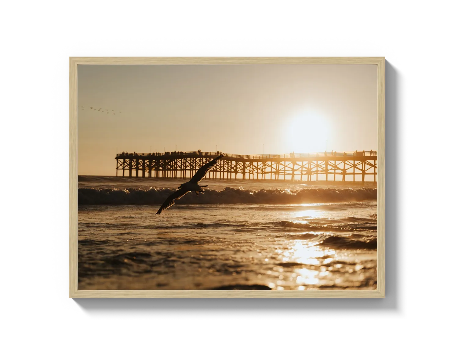Beach Bird 2