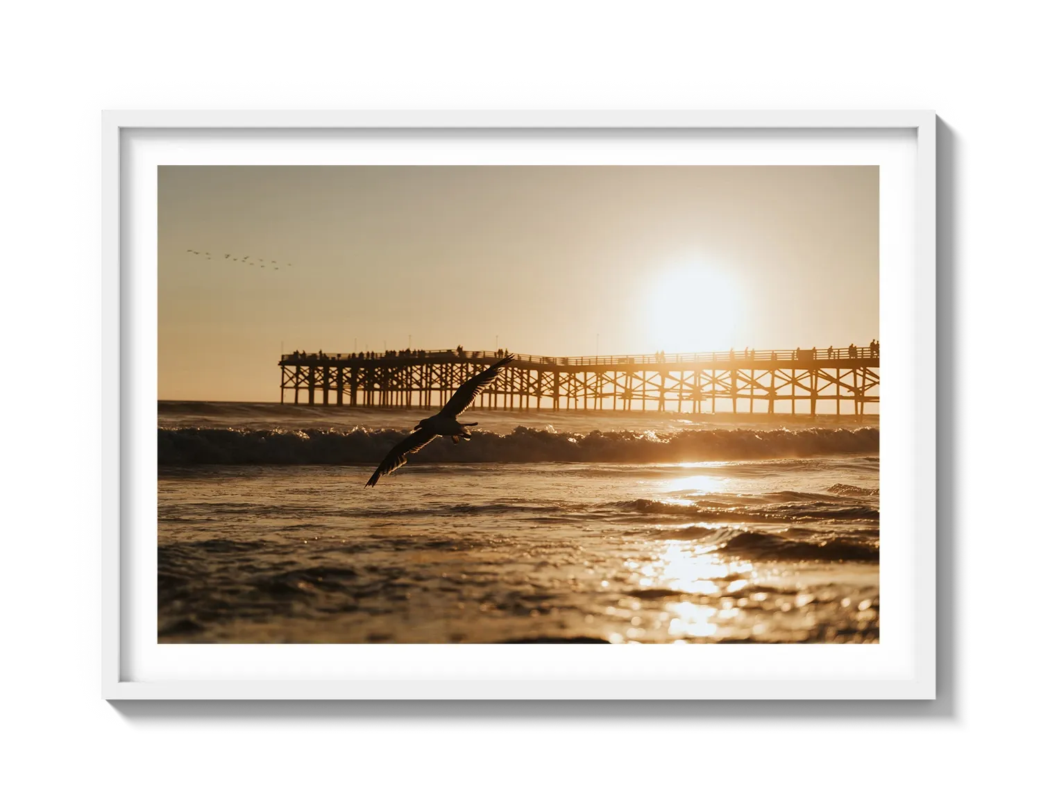 Beach Bird 2