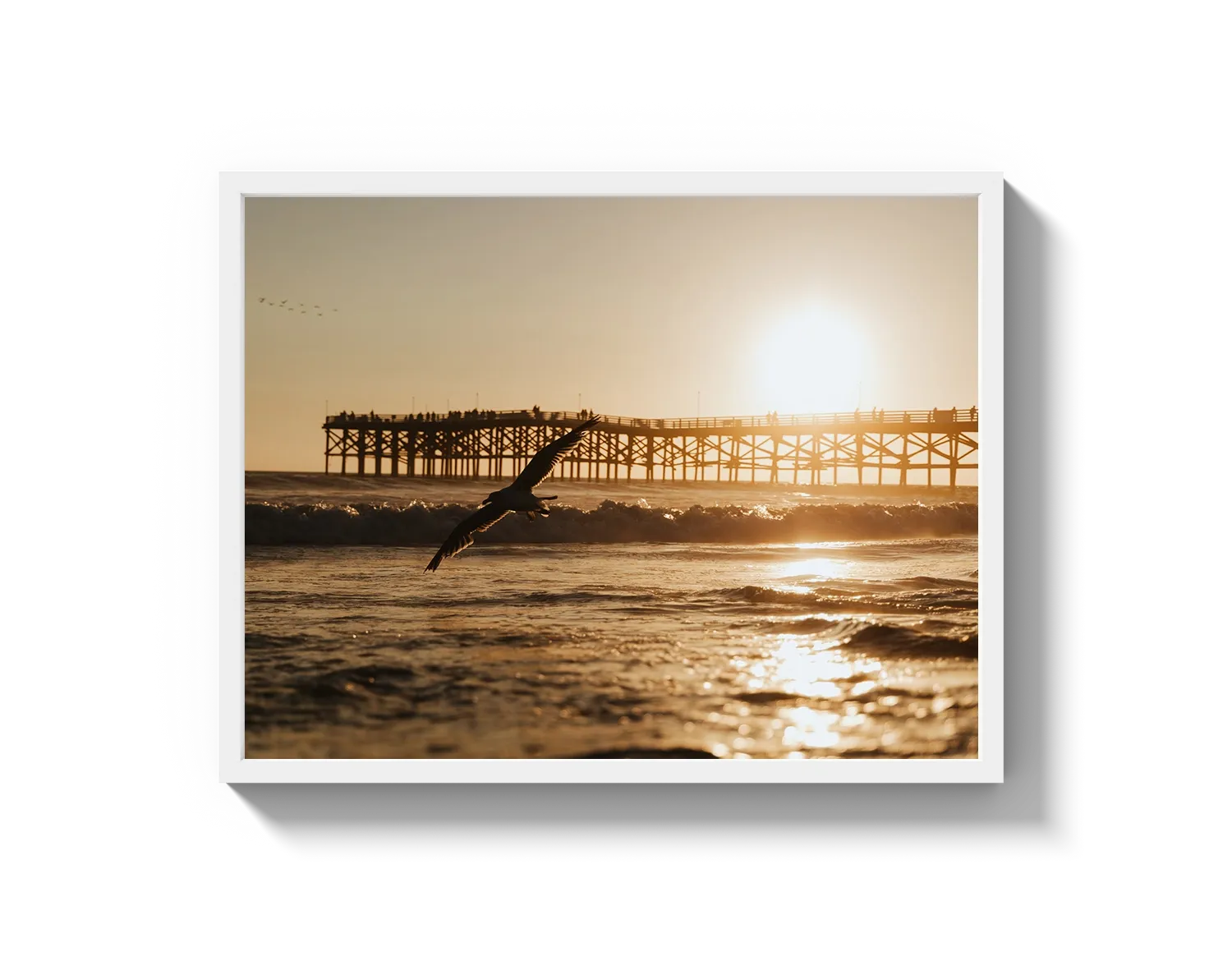 Beach Bird 2