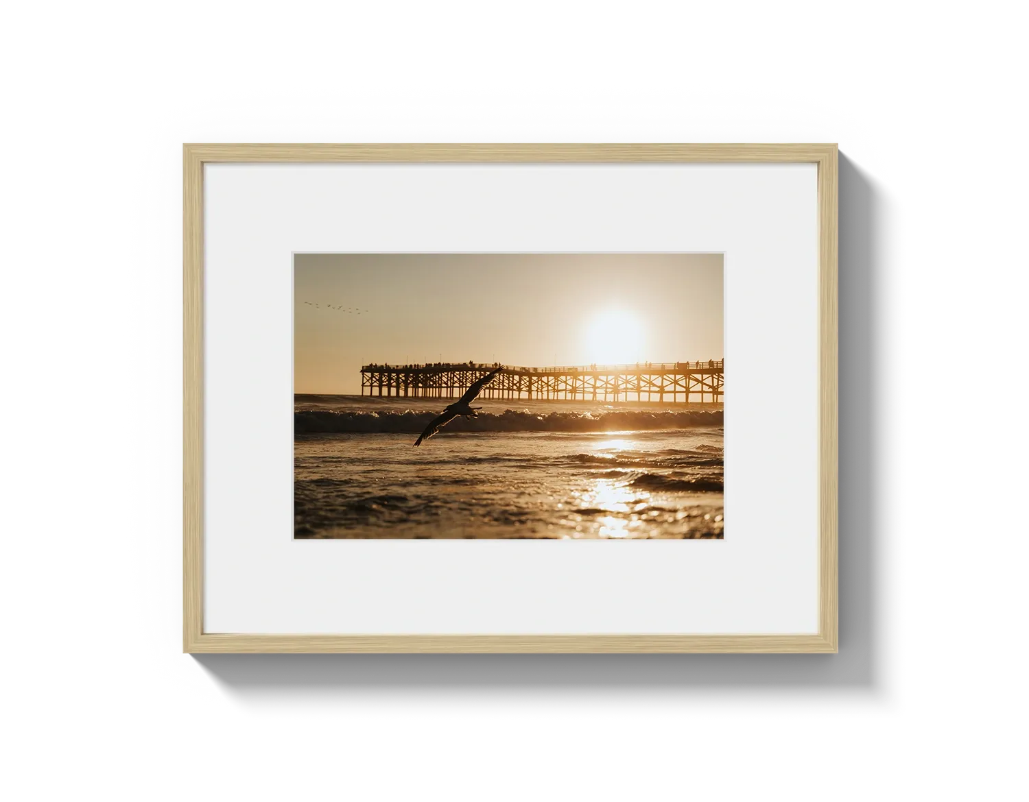 Beach Bird 2