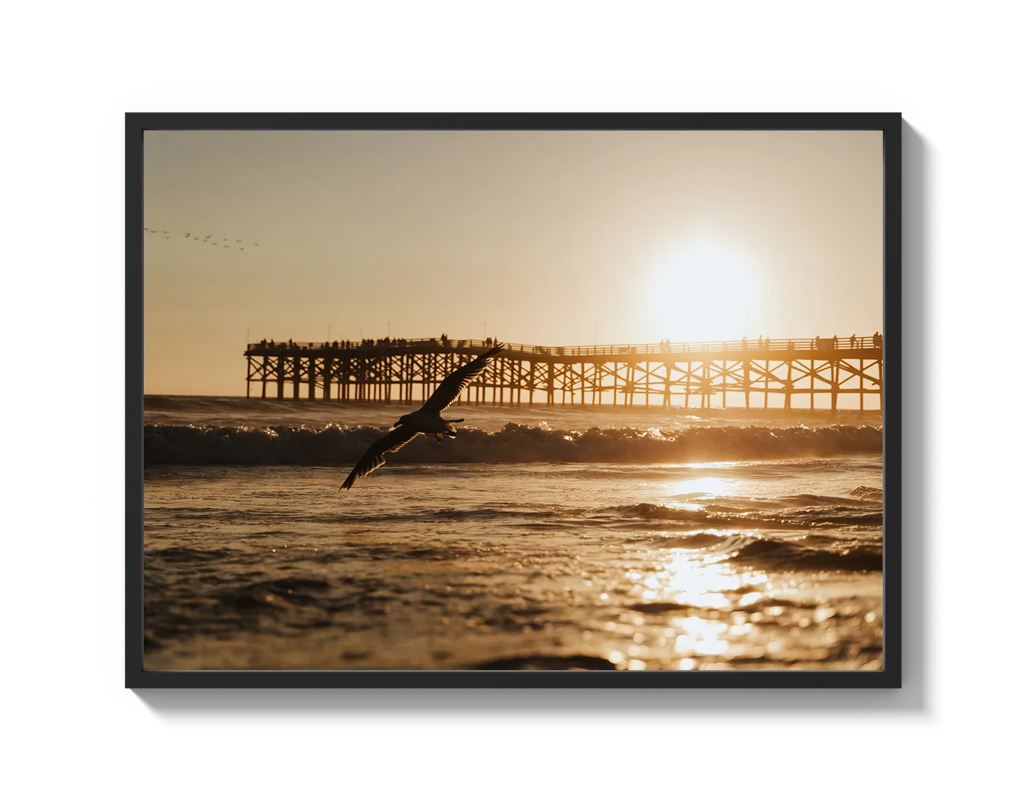 Beach Bird 2