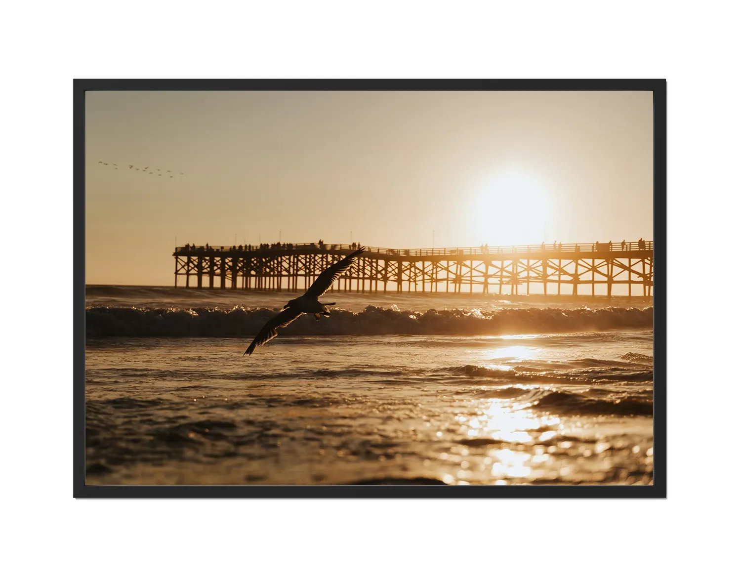 Beach Bird 2