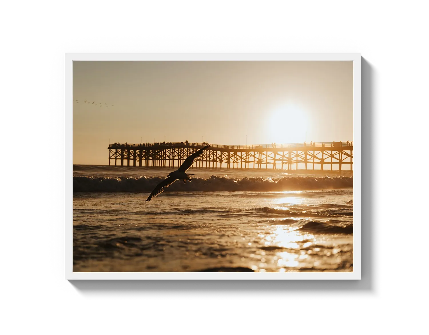 Beach Bird 2