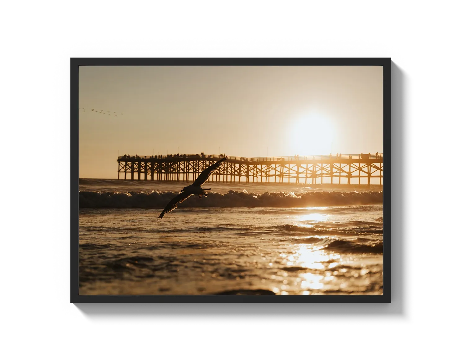 Beach Bird 2