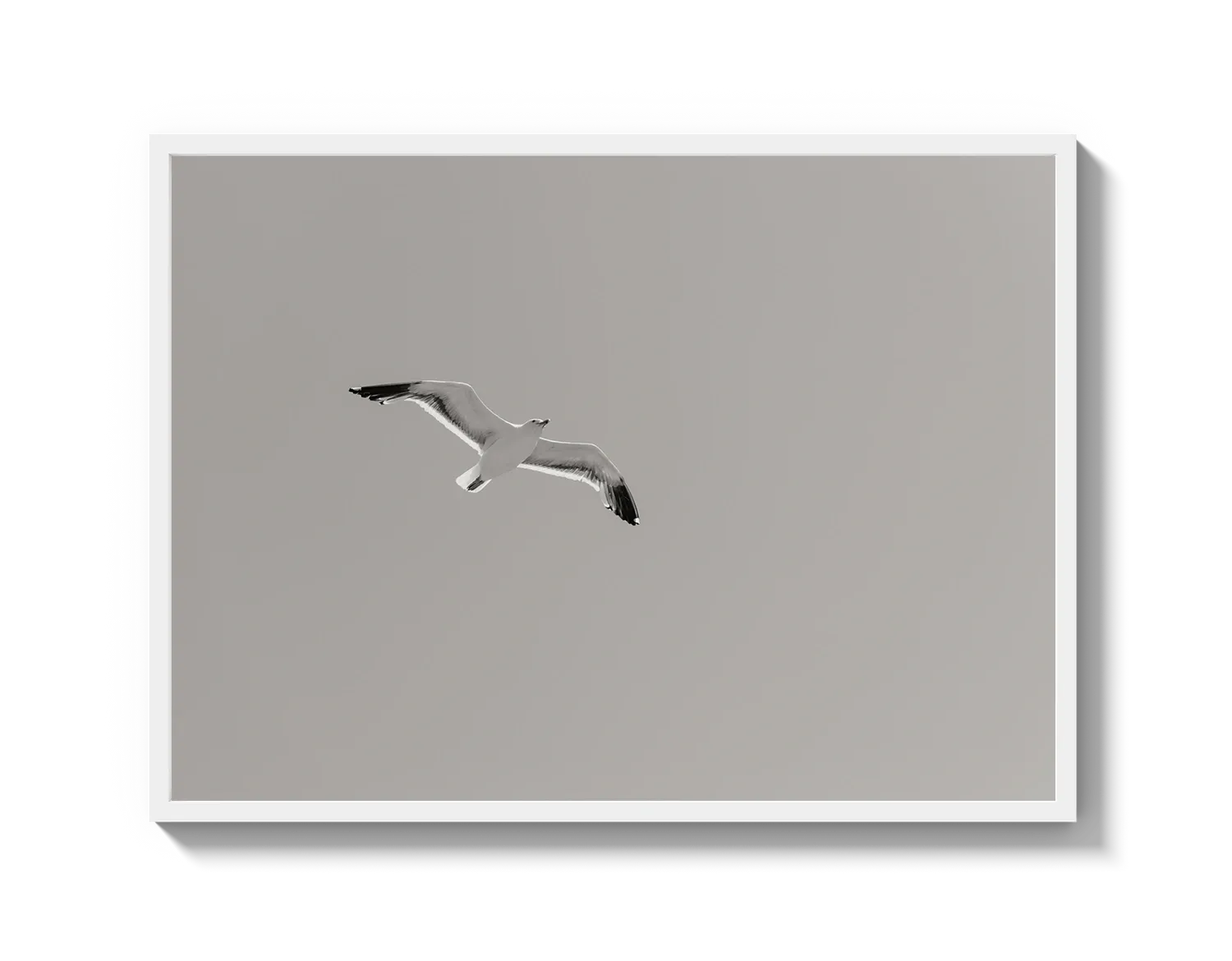 Flying Bird