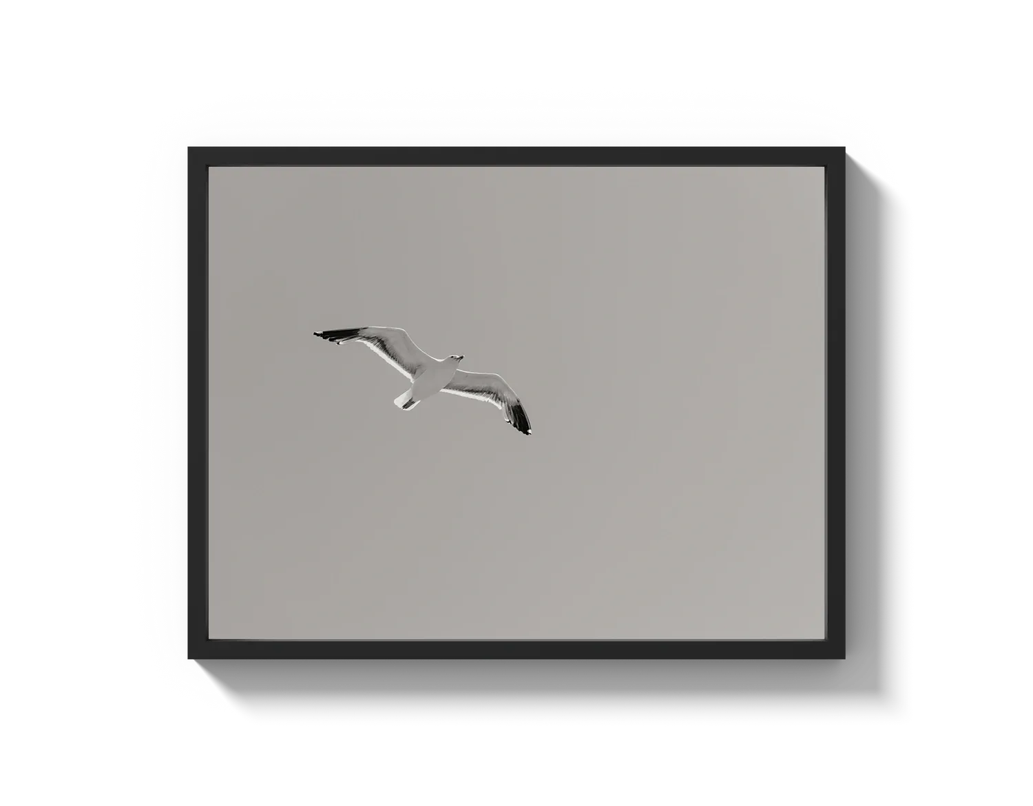 Flying Bird