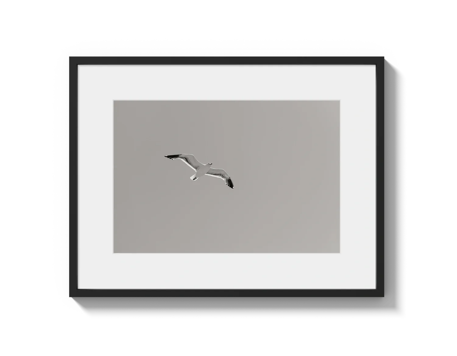 Flying Bird