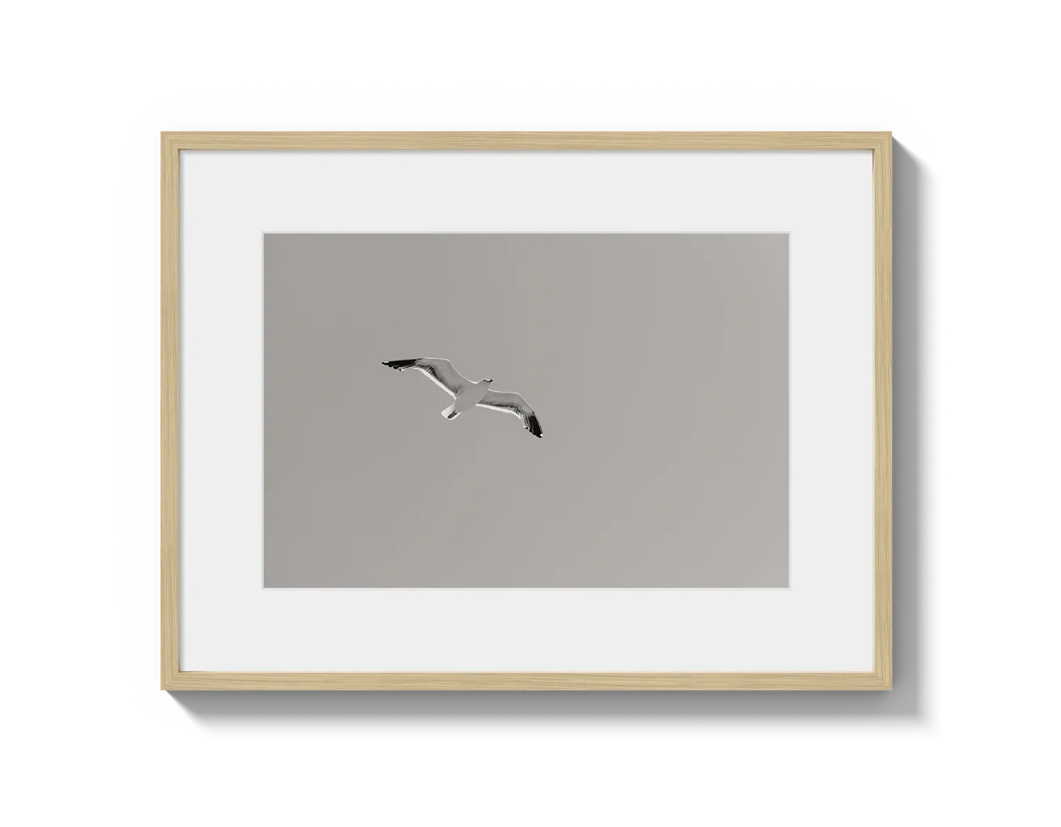 Flying Bird