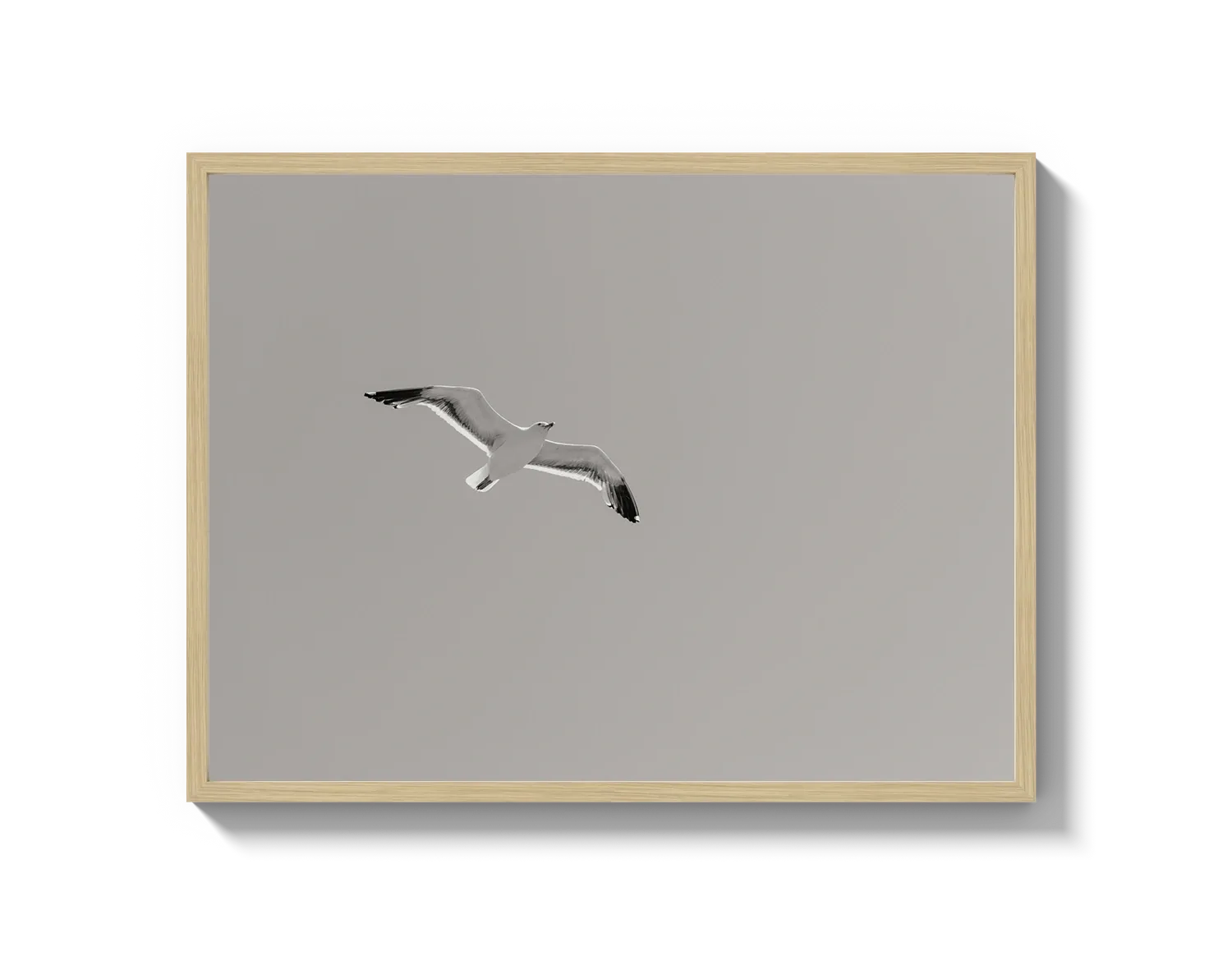 Flying Bird