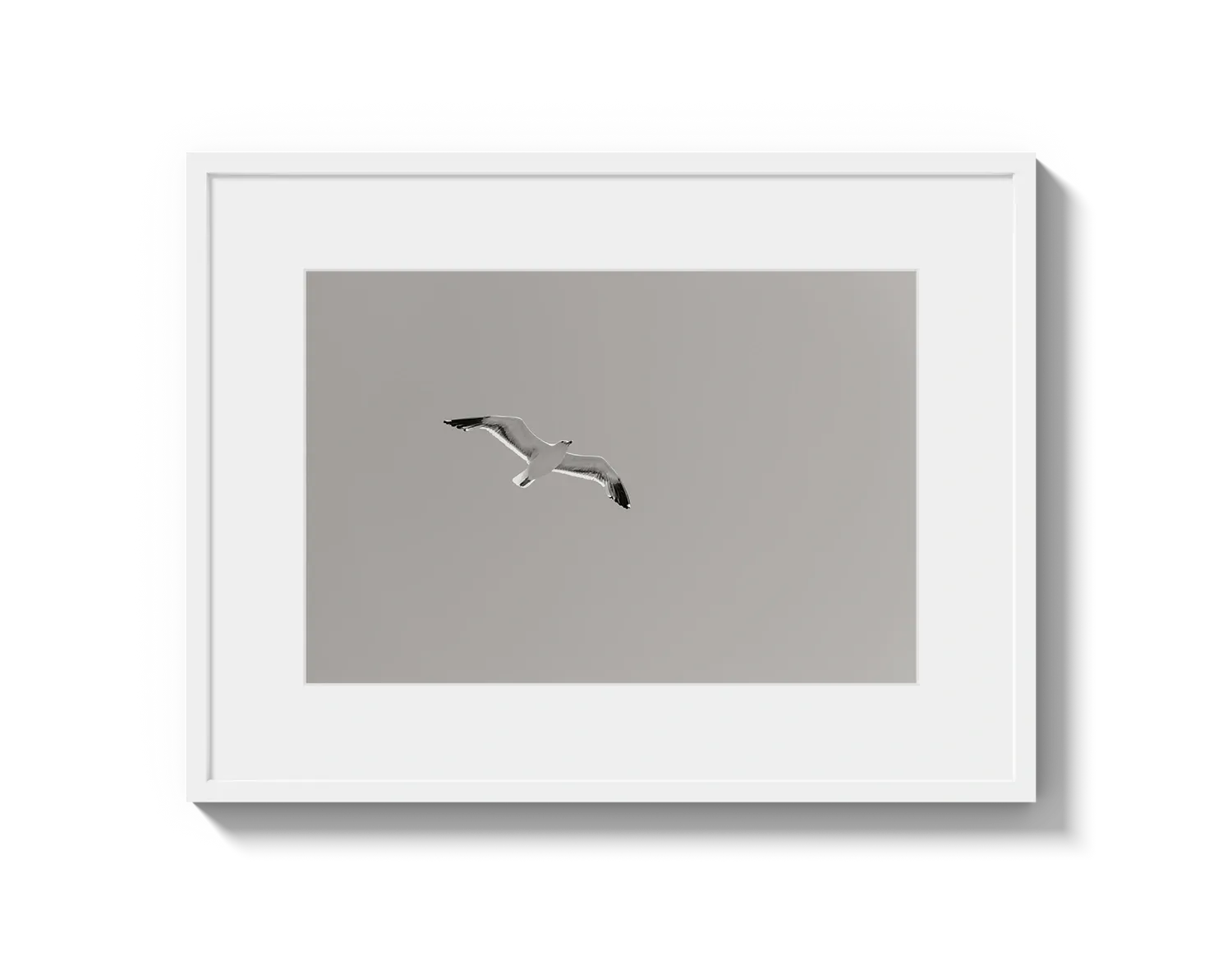 Flying Bird