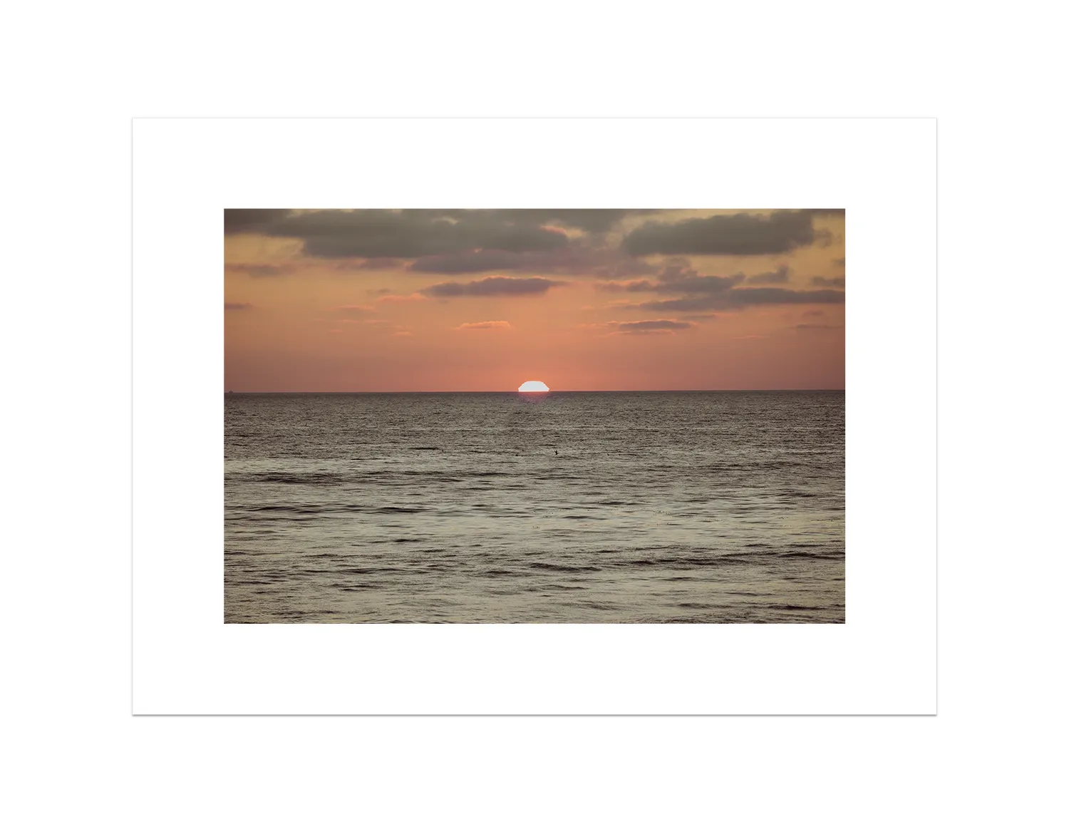 Ocean Beach Sunset