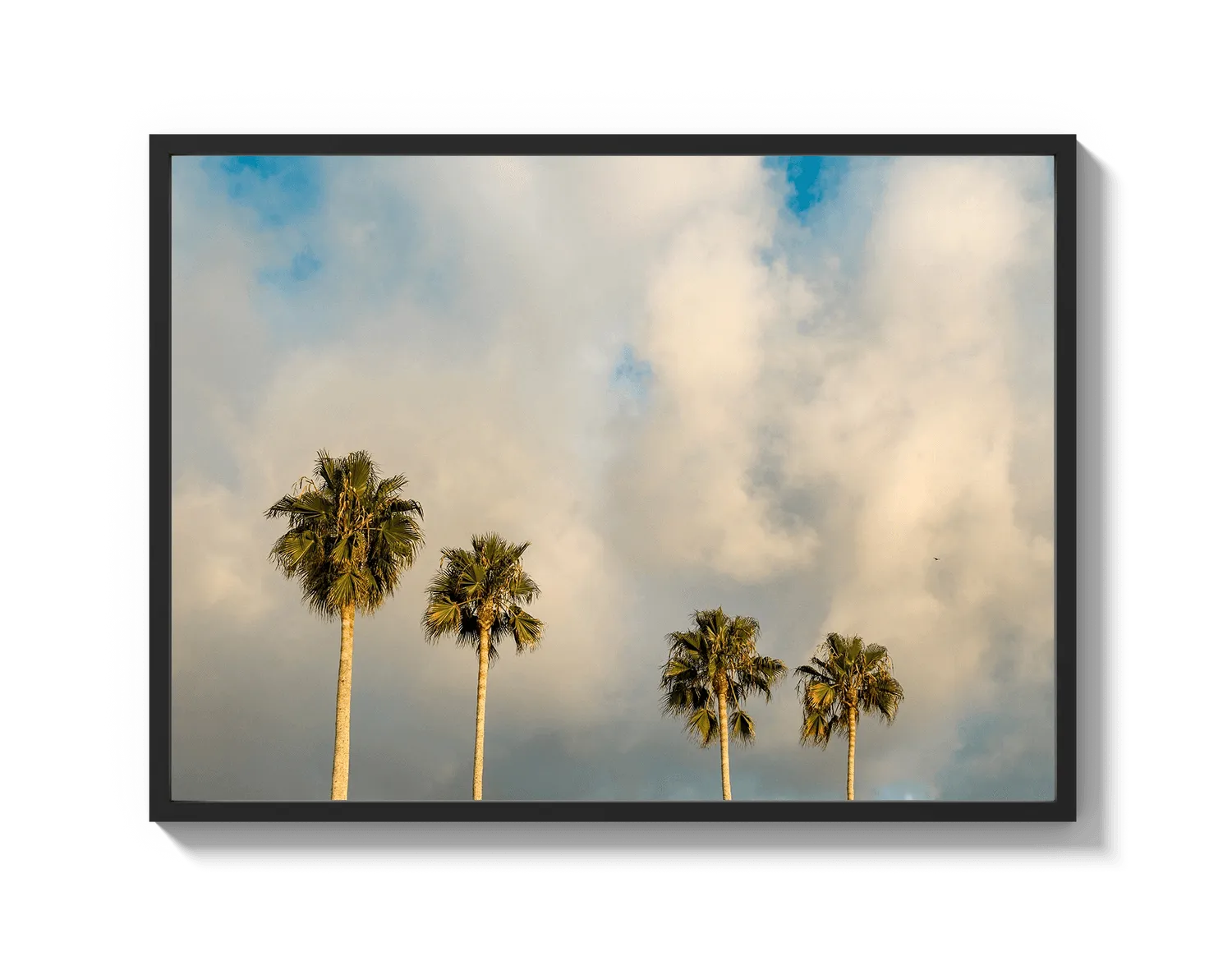 Palm Trees on Clouds - California DreamScapes Wall Art Decor