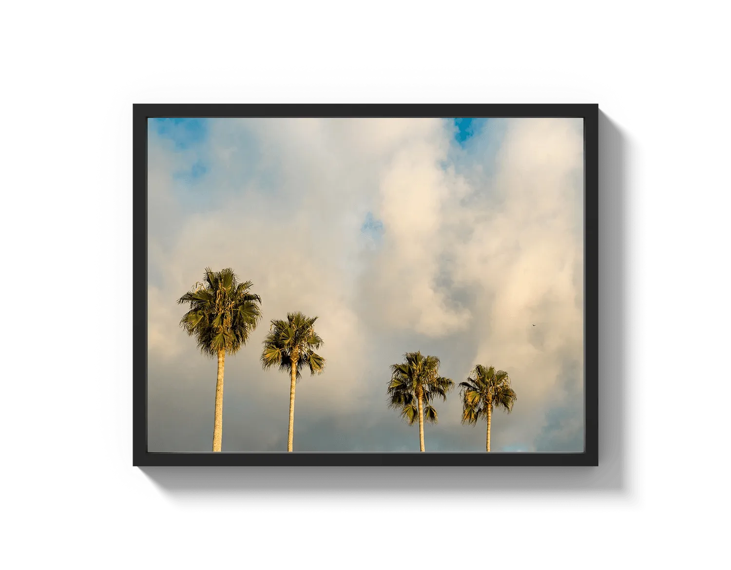 Palm Trees on Clouds - California DreamScapes Wall Art Decor