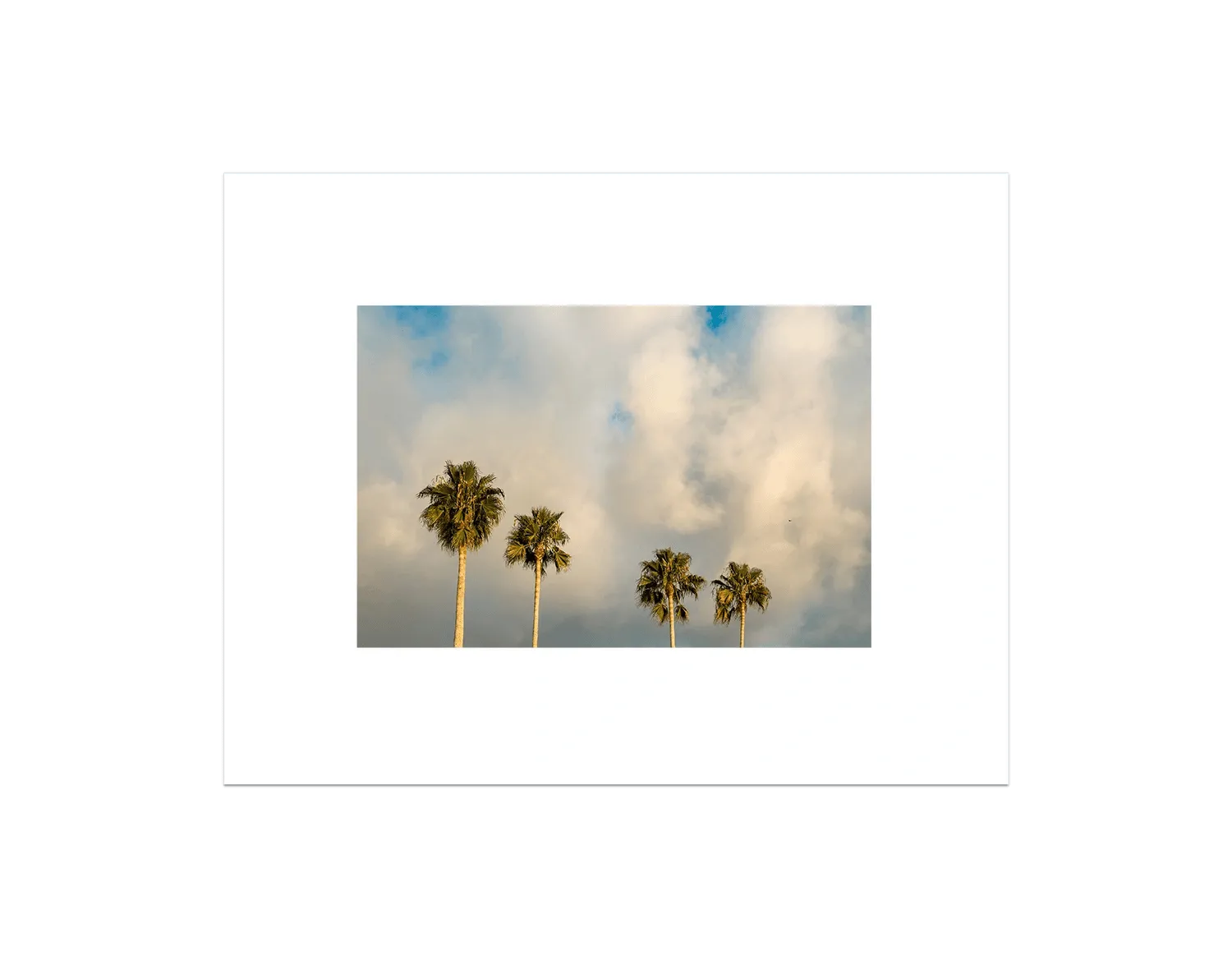 Palm Trees on Clouds - California DreamScapes Wall Art Decor