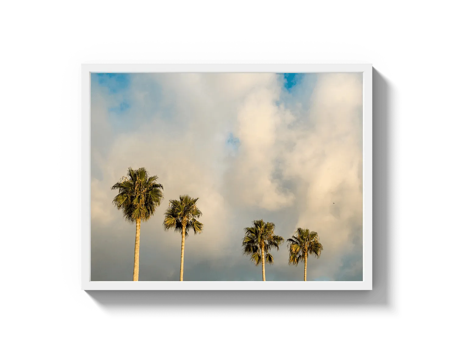 Palm Trees on Clouds - California DreamScapes Wall Art Decor
