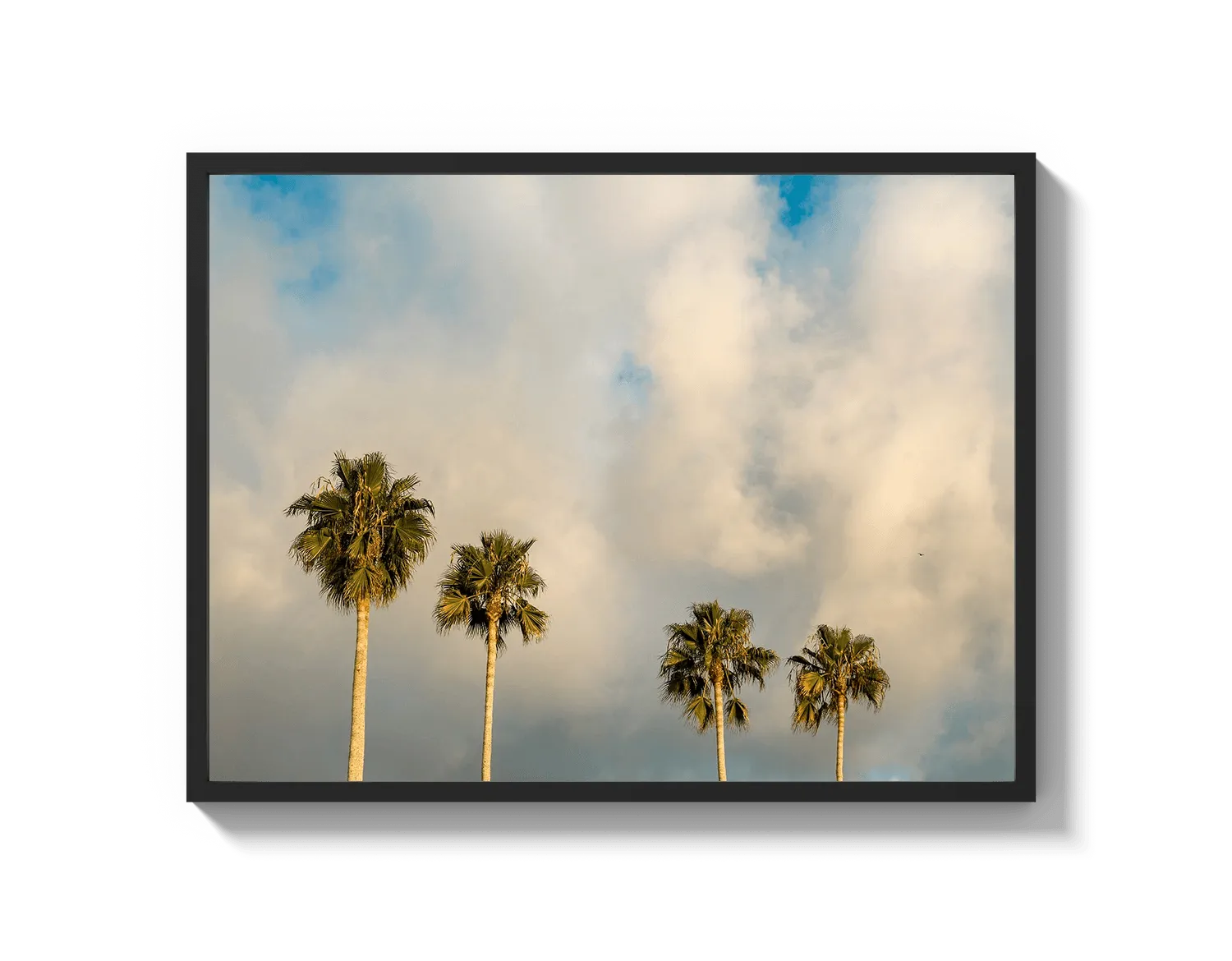 Palm Trees on Clouds - California DreamScapes Wall Art Decor