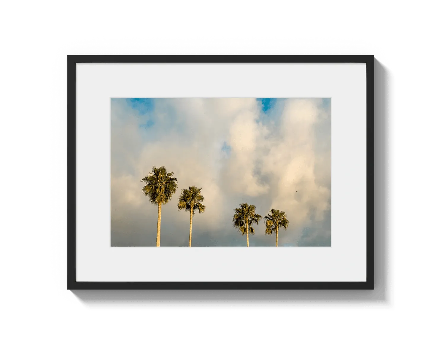 Palm Trees on Clouds - California DreamScapes Wall Art Decor