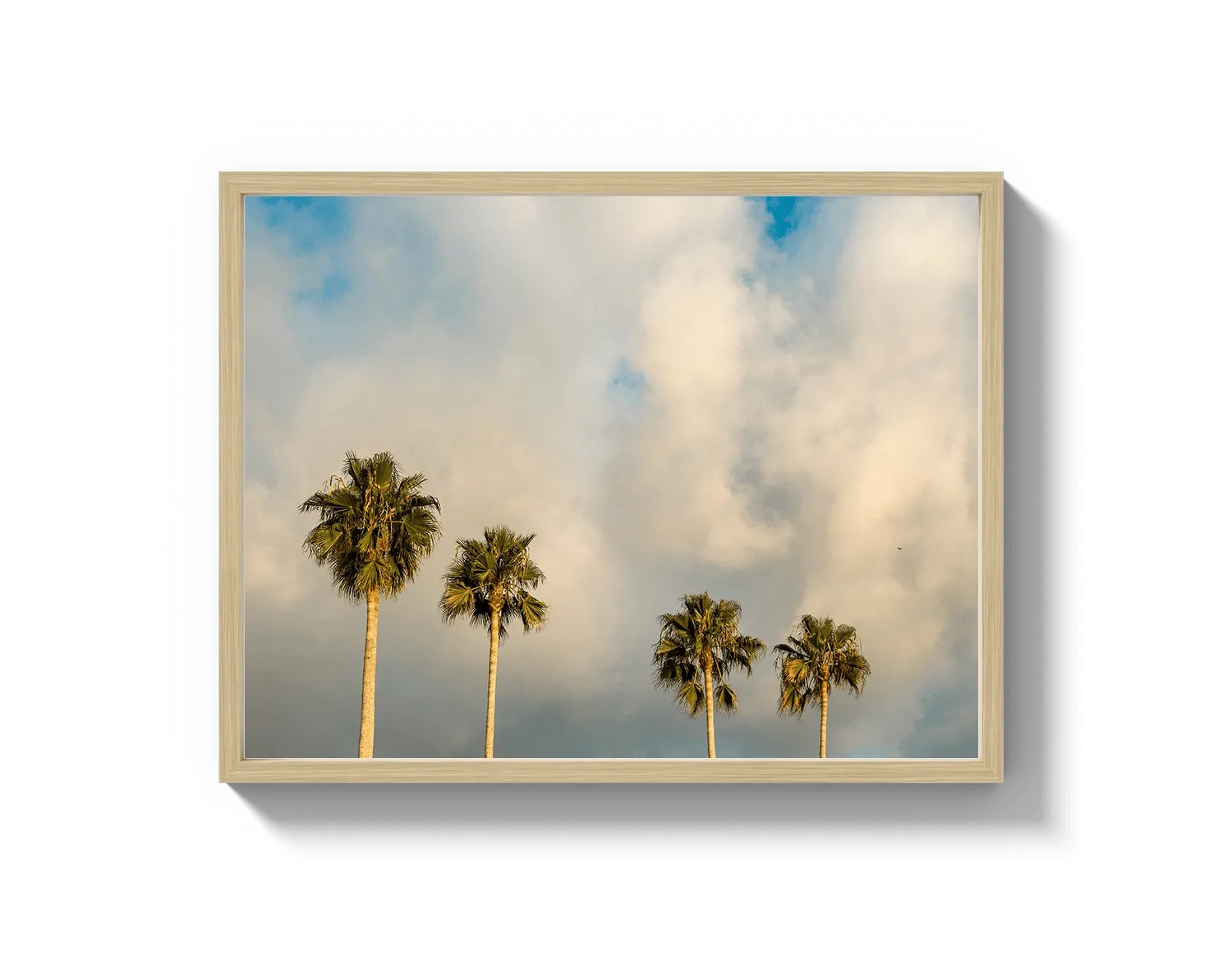 Palm Trees on Clouds - California DreamScapes Wall Art Decor