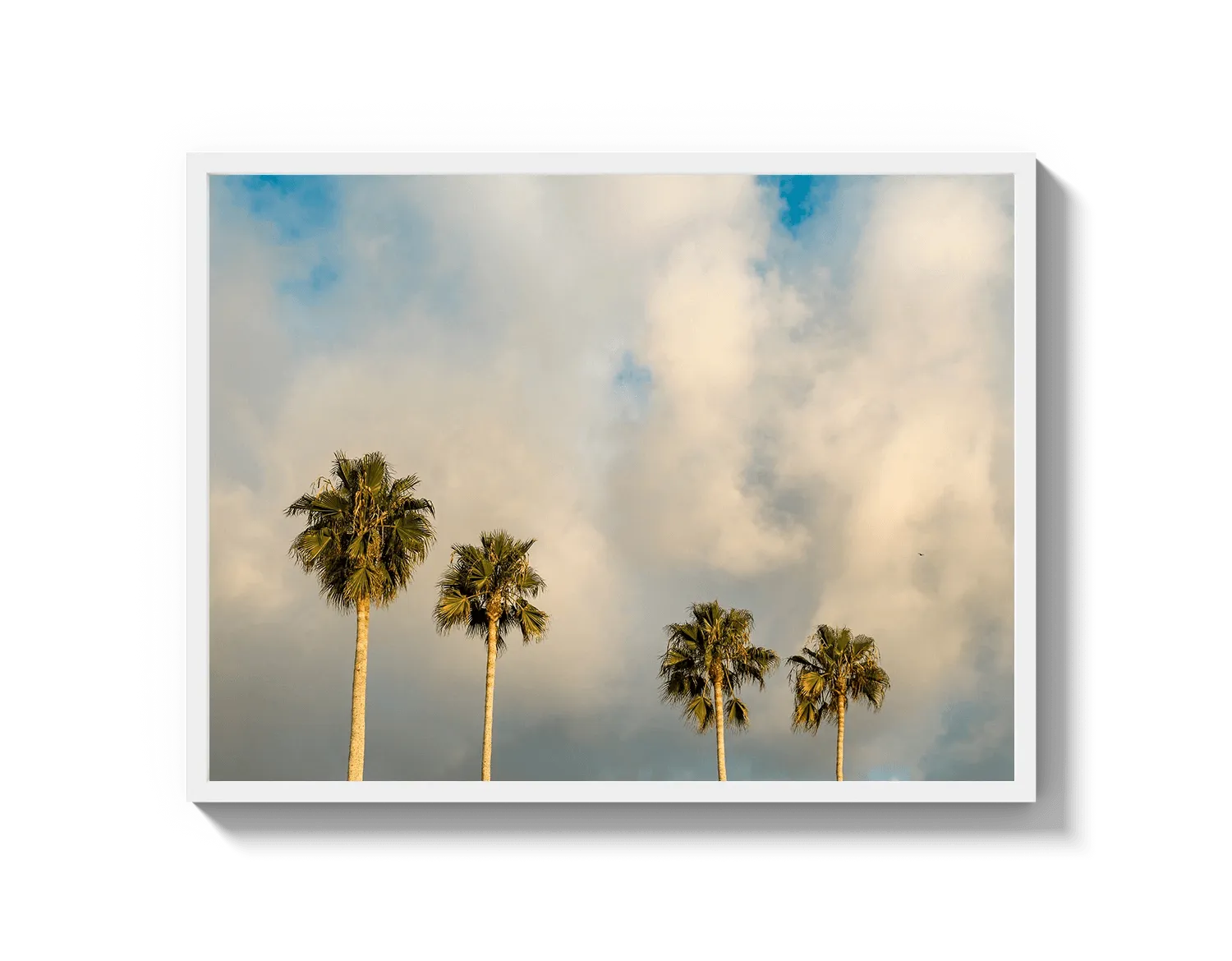 Palm Trees on Clouds - California DreamScapes Wall Art Decor
