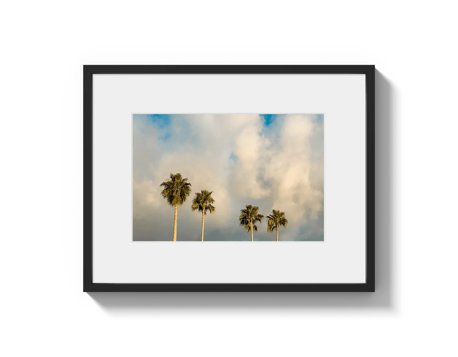 Palm Trees on Clouds - California DreamScapes Wall Art Decor