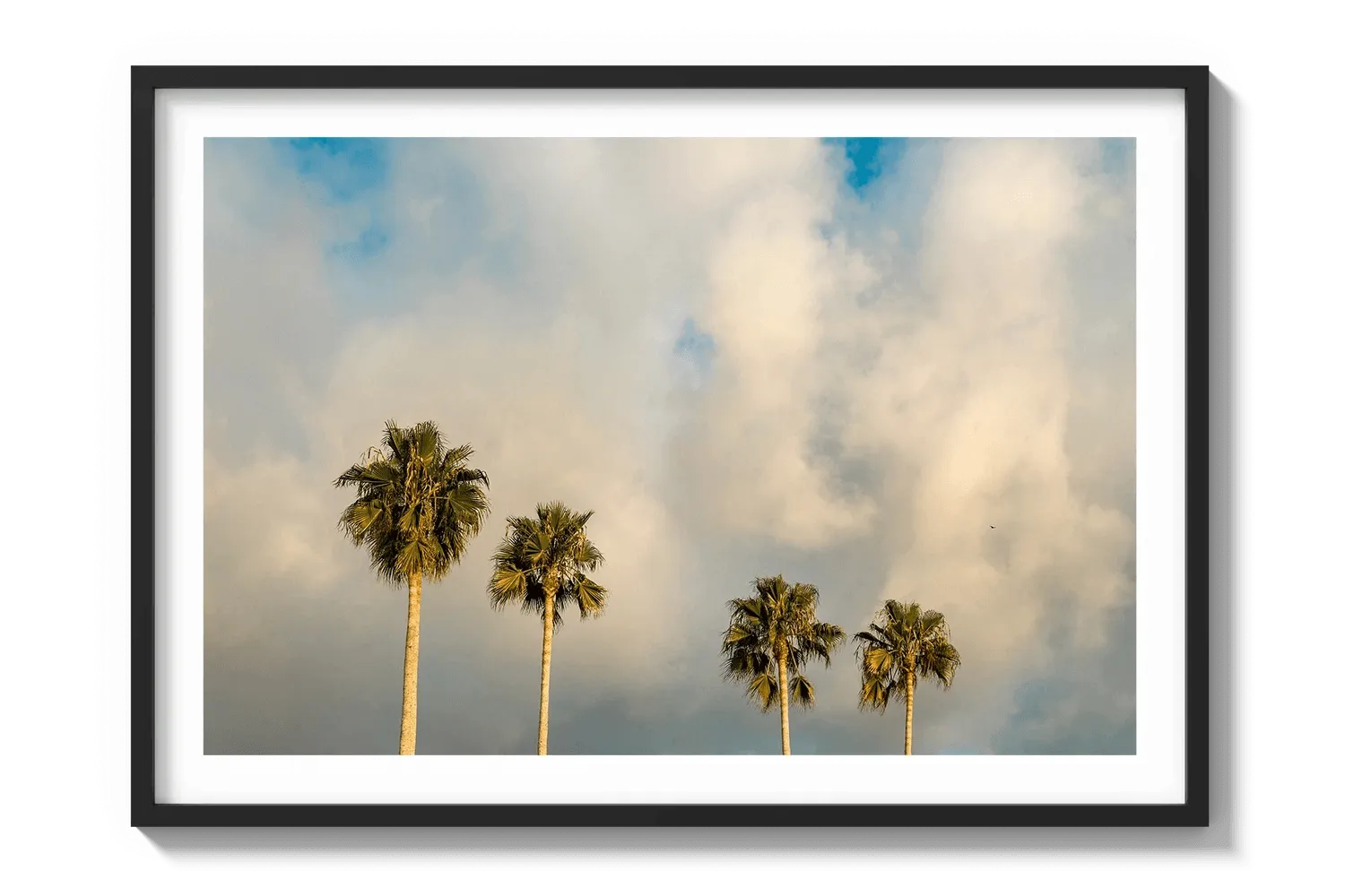 Palm Trees on Clouds - California DreamScapes Wall Art Decor