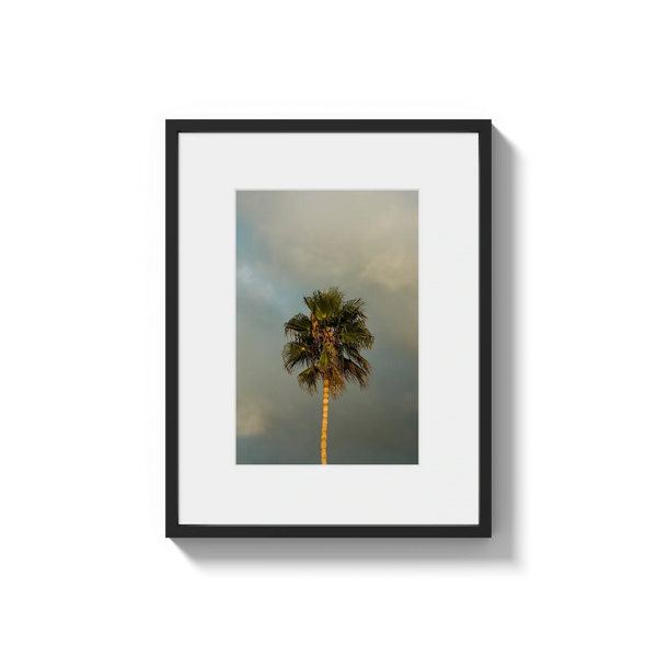 Lone Palm Tree on Clouds