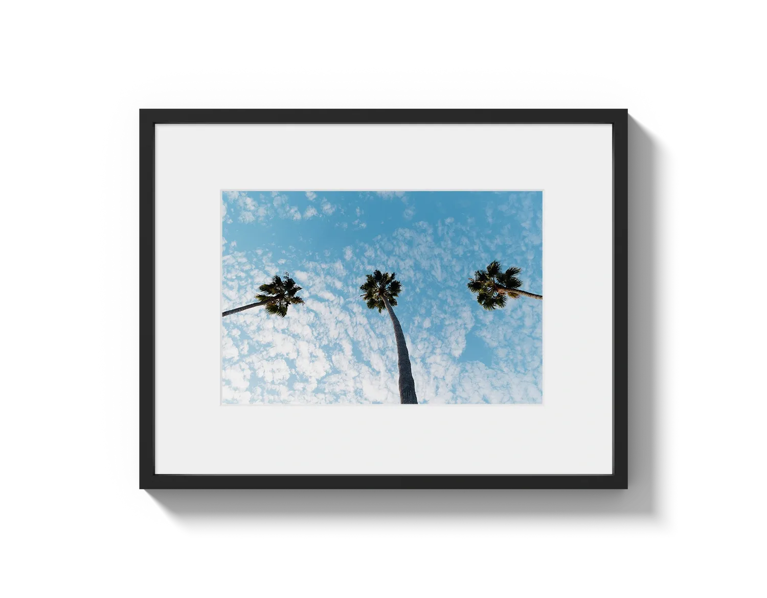 Three Palm Trees II