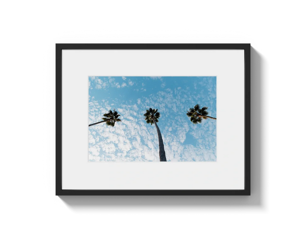 Three Palm Trees II