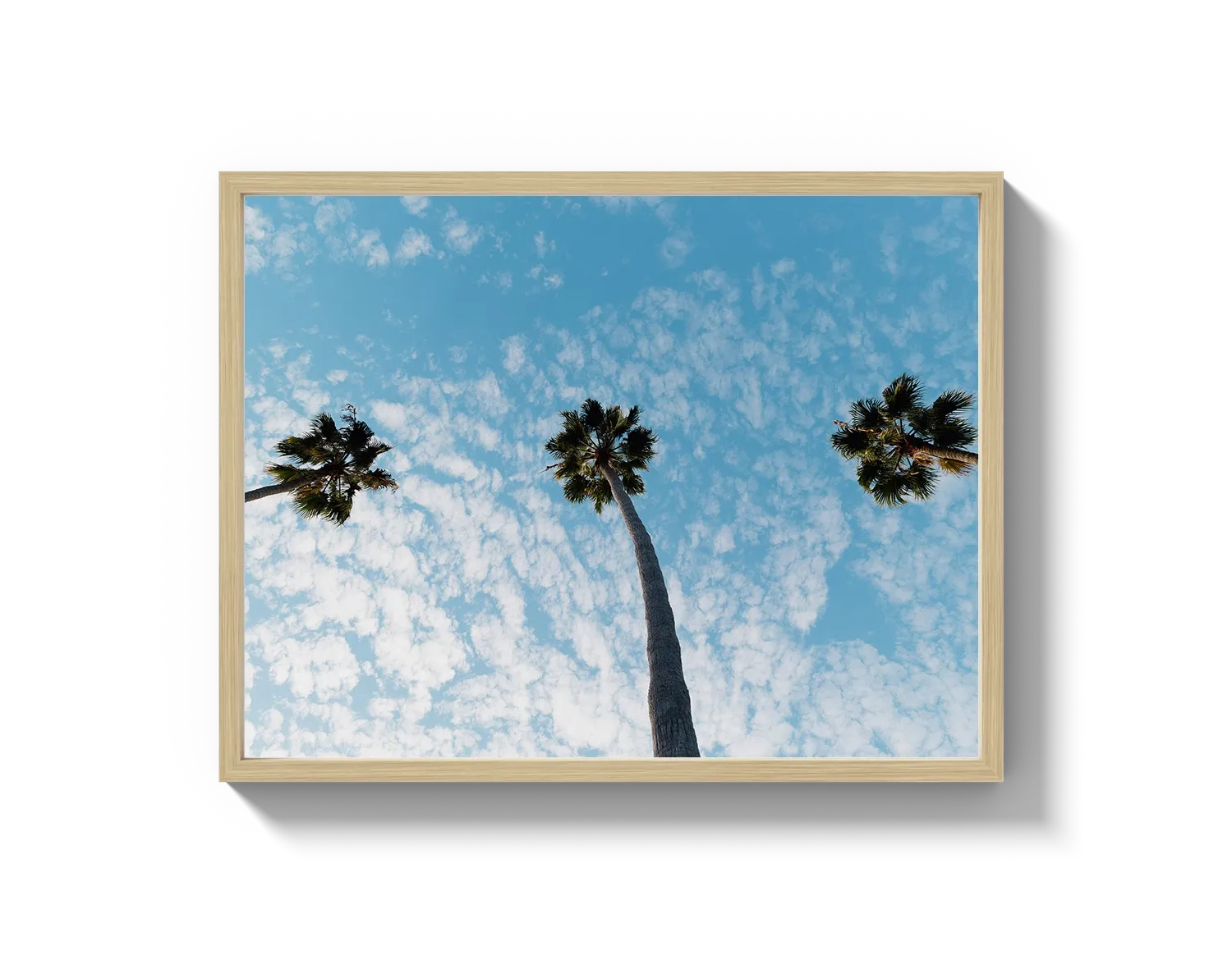 Three Palm Trees II