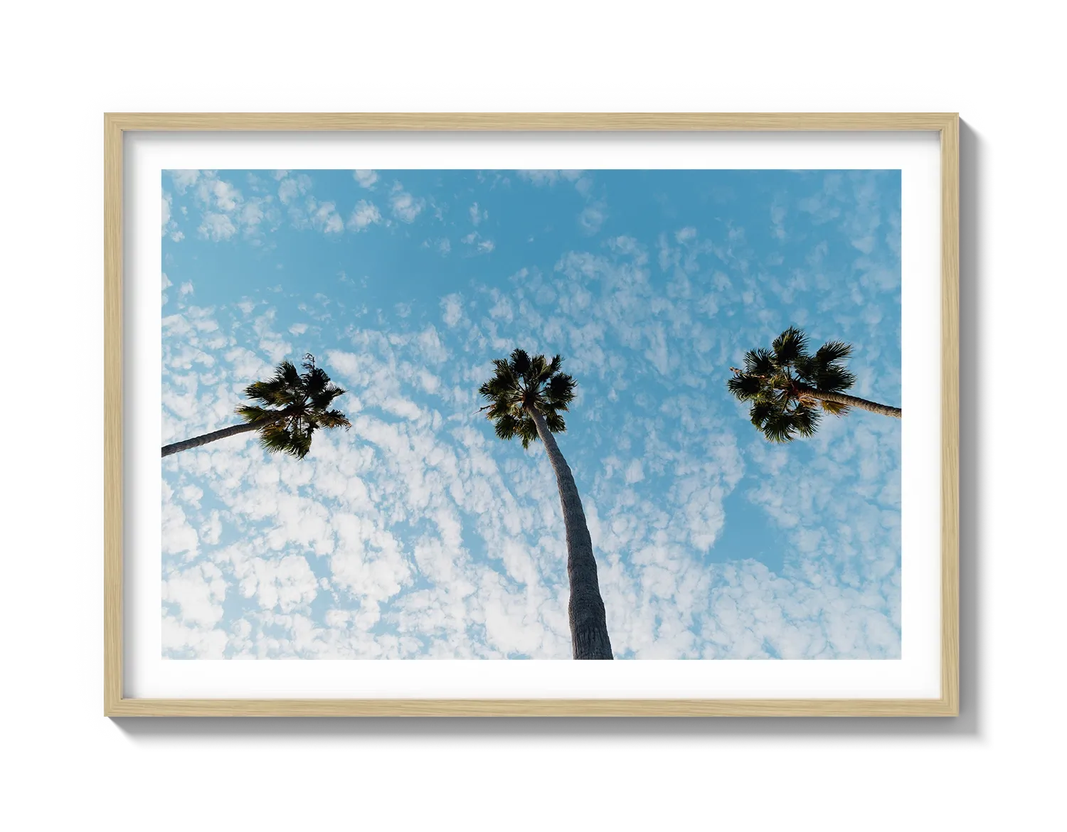 Three Palm Trees II